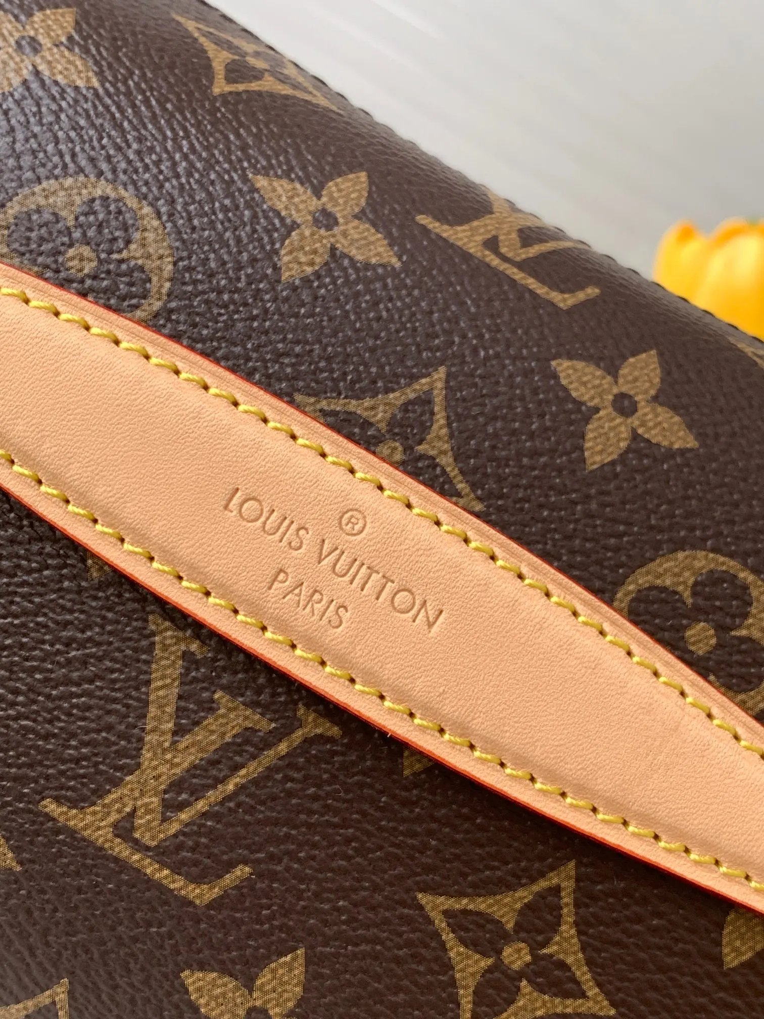Louis Vuitton Gold Belt Bag Casual Leather