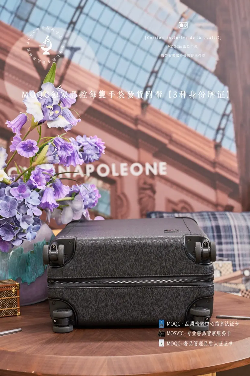 Silver Suitcase Travel Lightweight