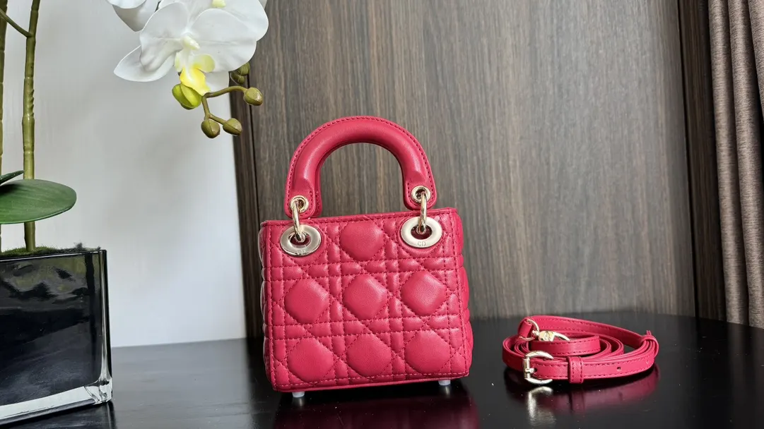 Dior Red Top Handle Bag Commuter