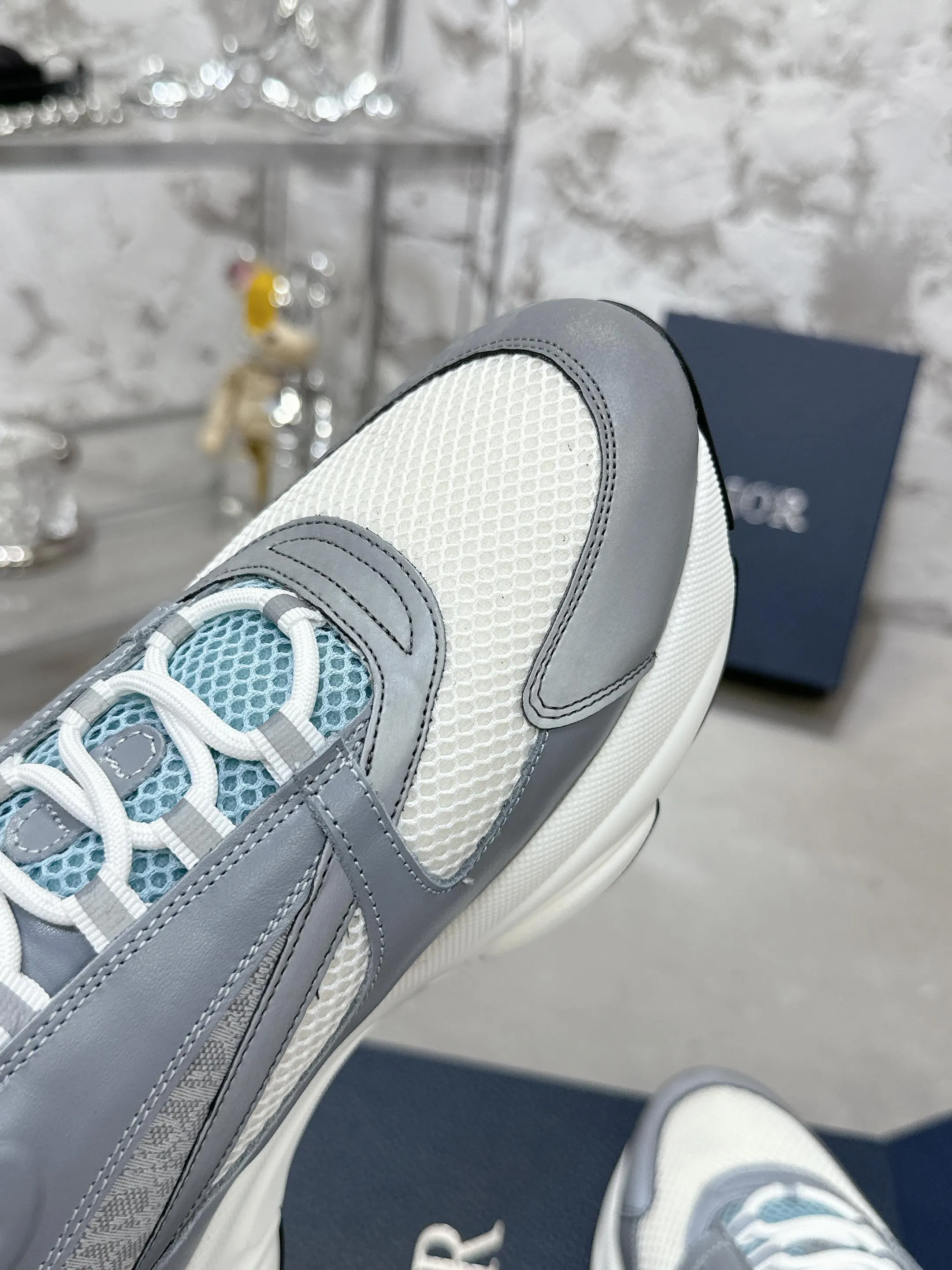 Dior B22 运动鞋