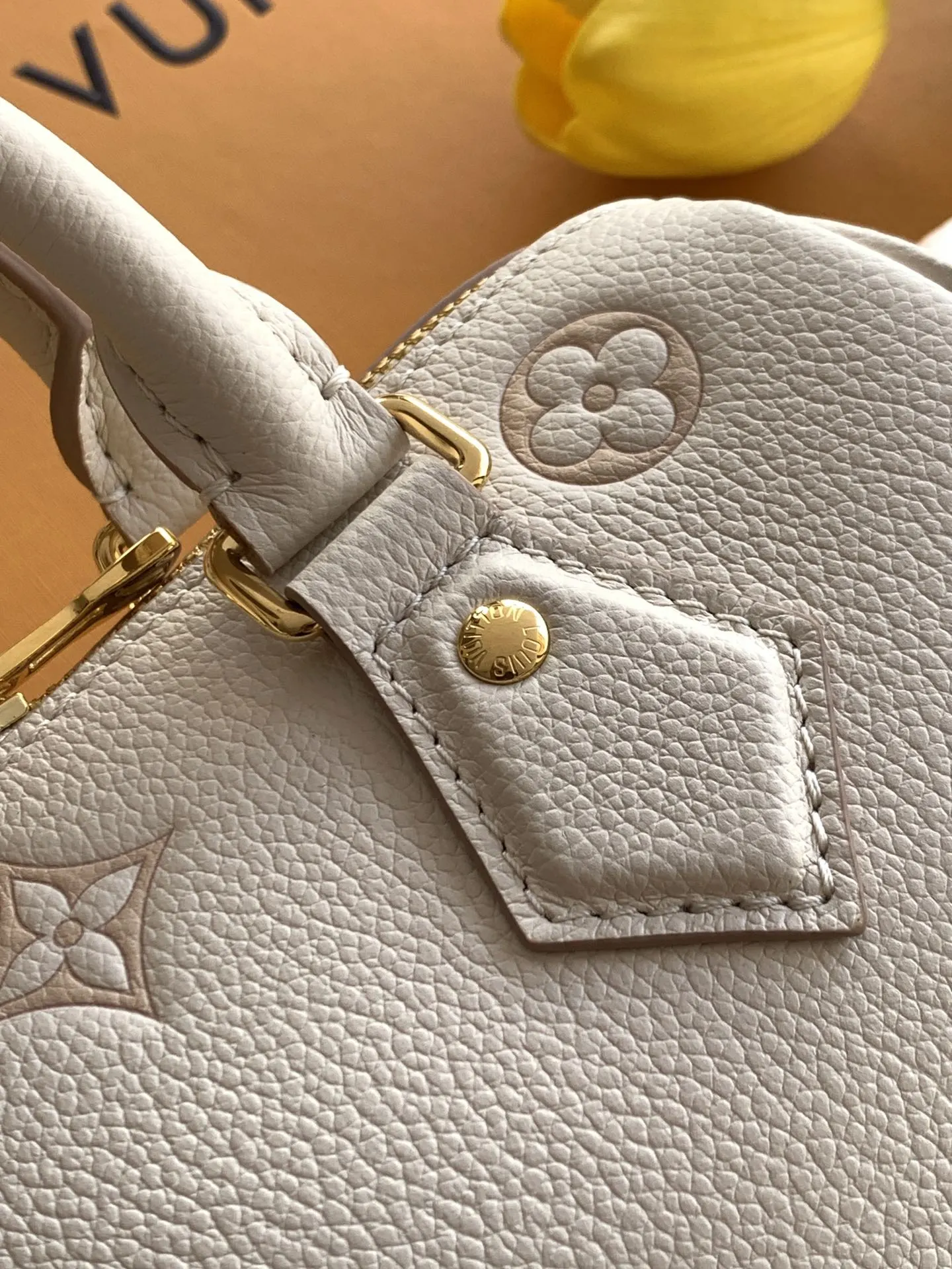 Louis Vuitton Speedy 牛皮手提包
