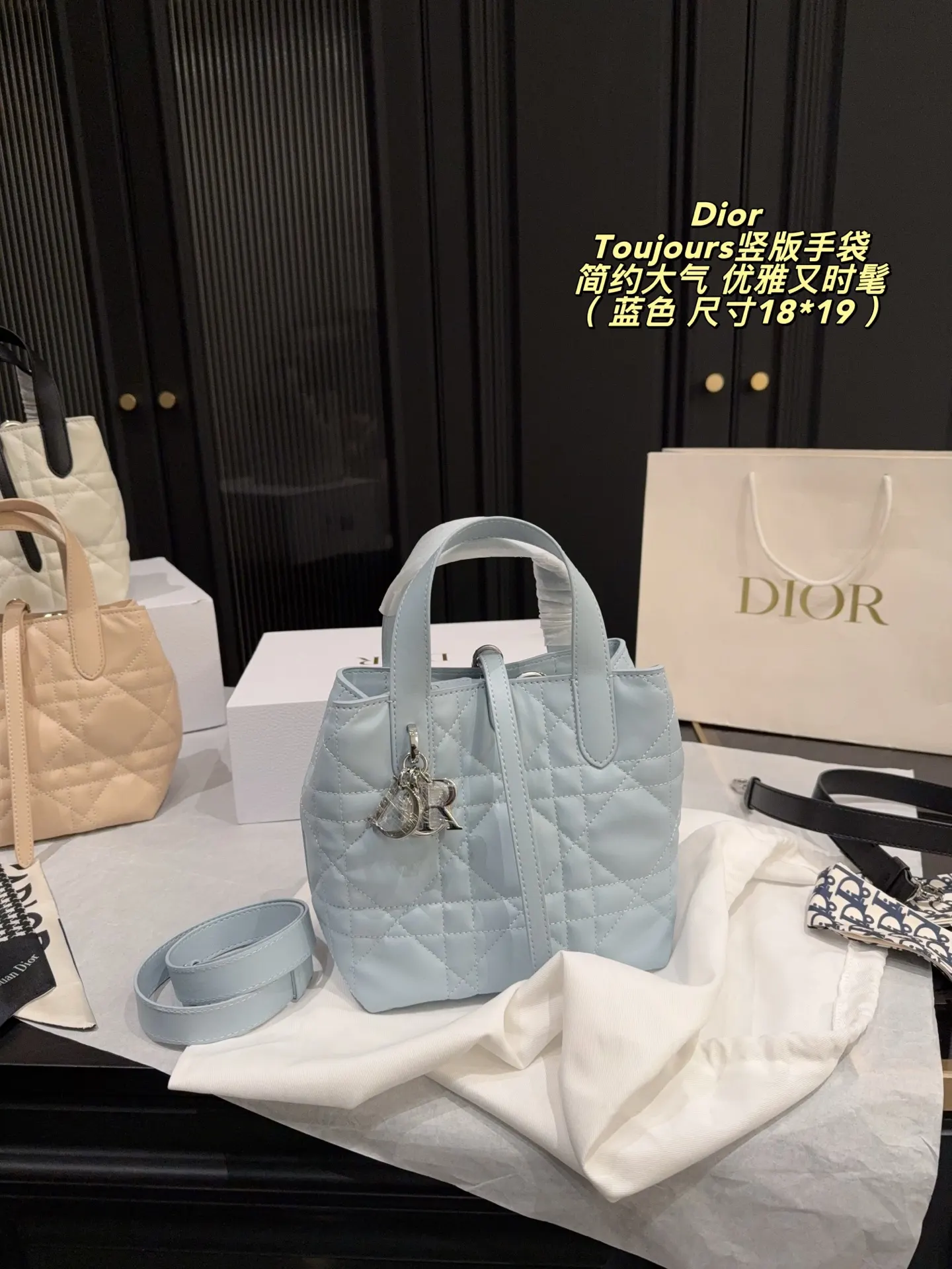 Dior Organizer Pouch Travel