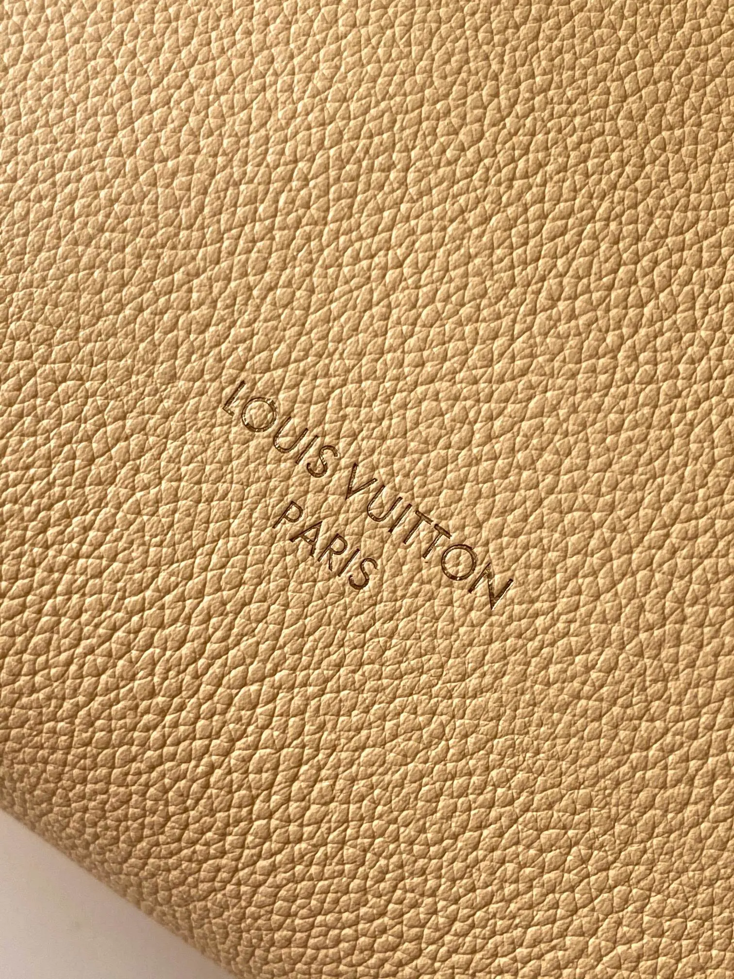 Louis Vuitton M25353 单肩包