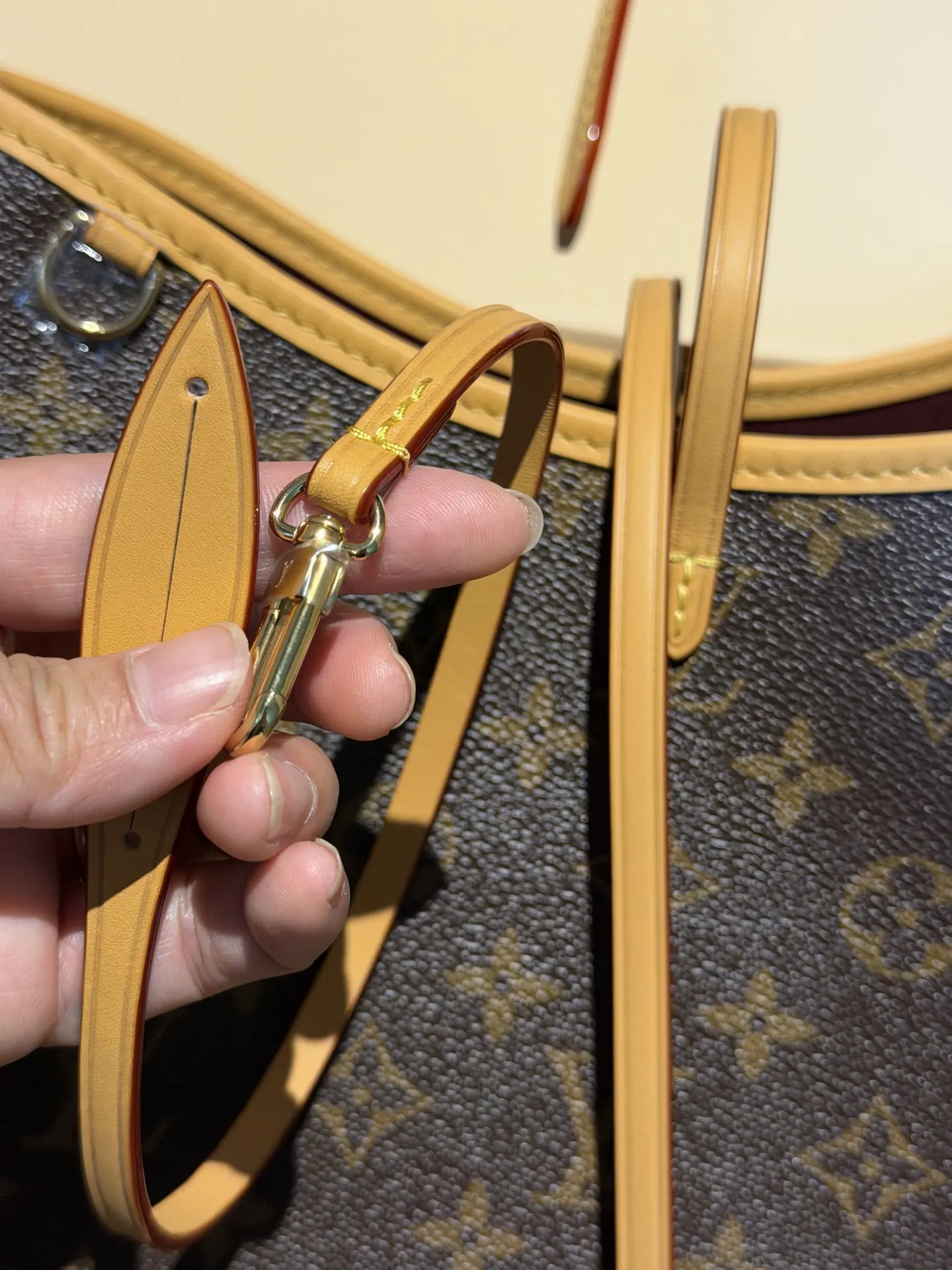 Louis Vuitton M46203 Handbag