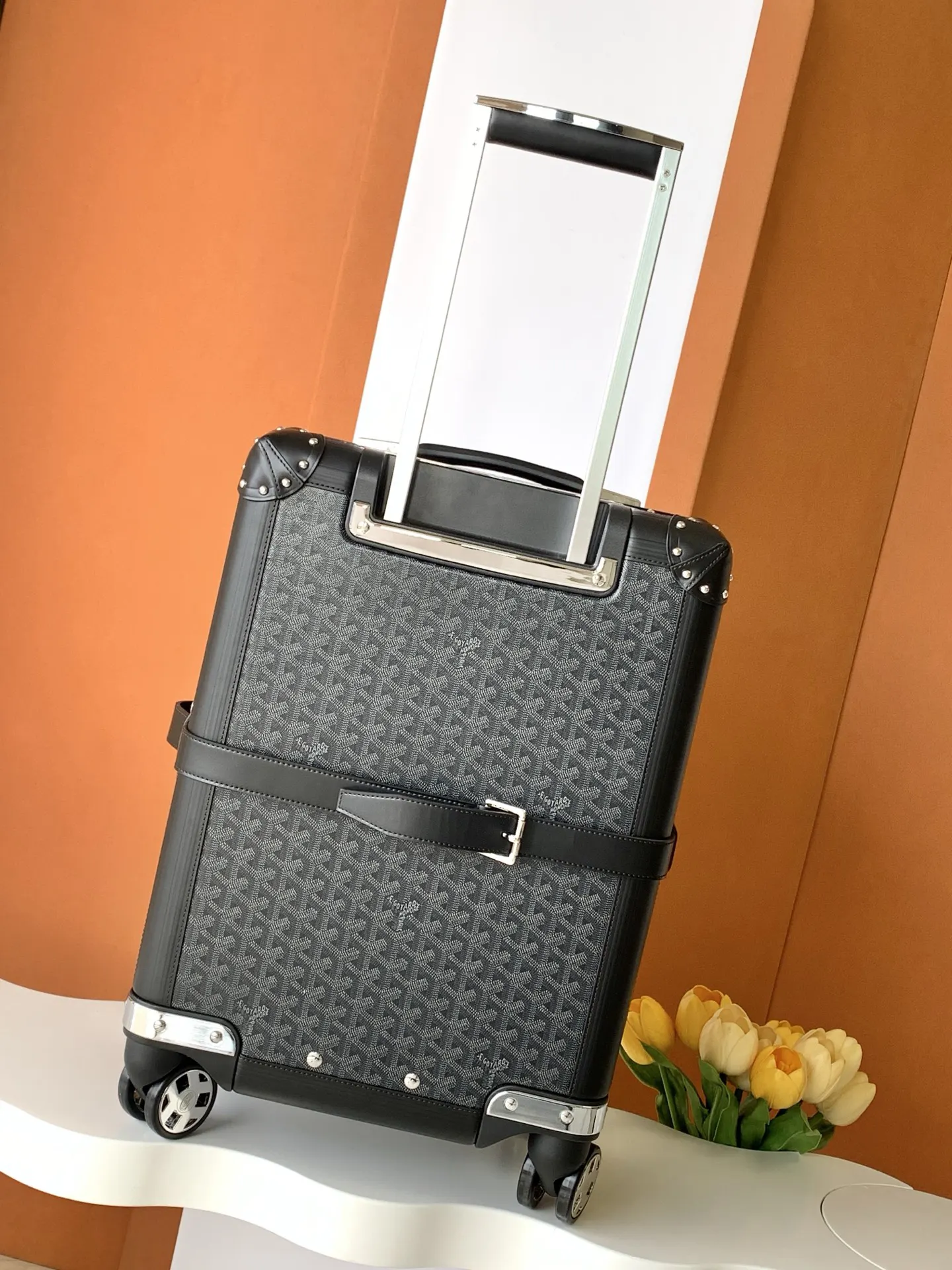 Goyard Black White Suitcase Travel Lightweight