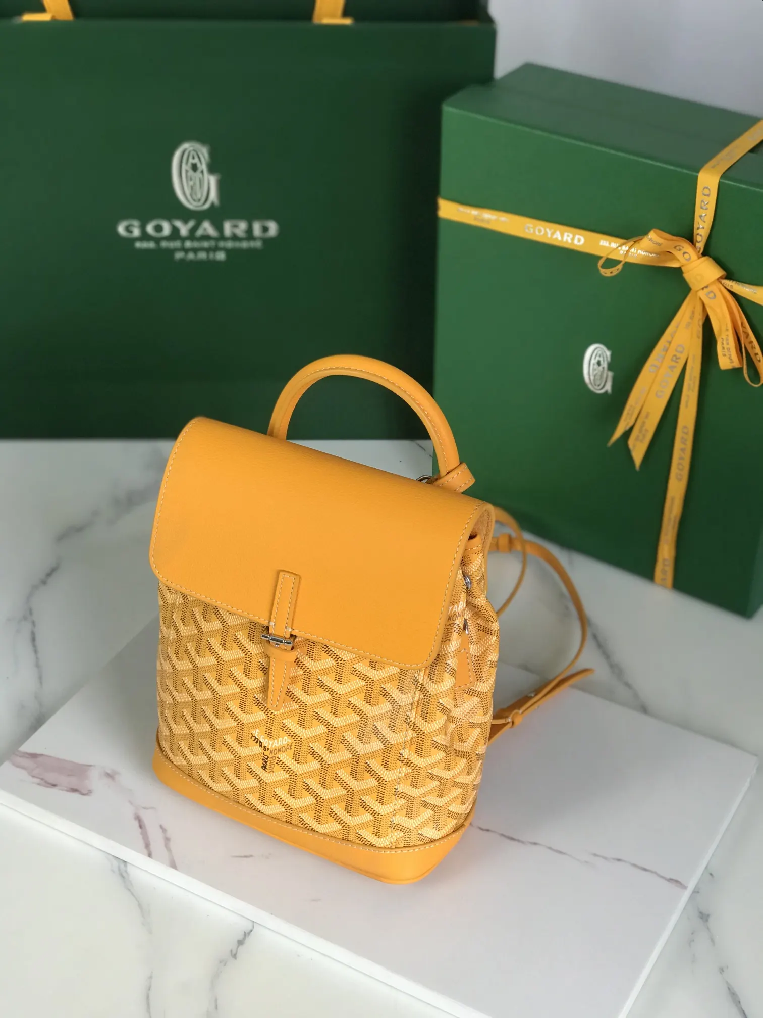Goyard 皮革 Aln迷你 雙肩包 升级 送 礼品盒 说 实用雙肩款