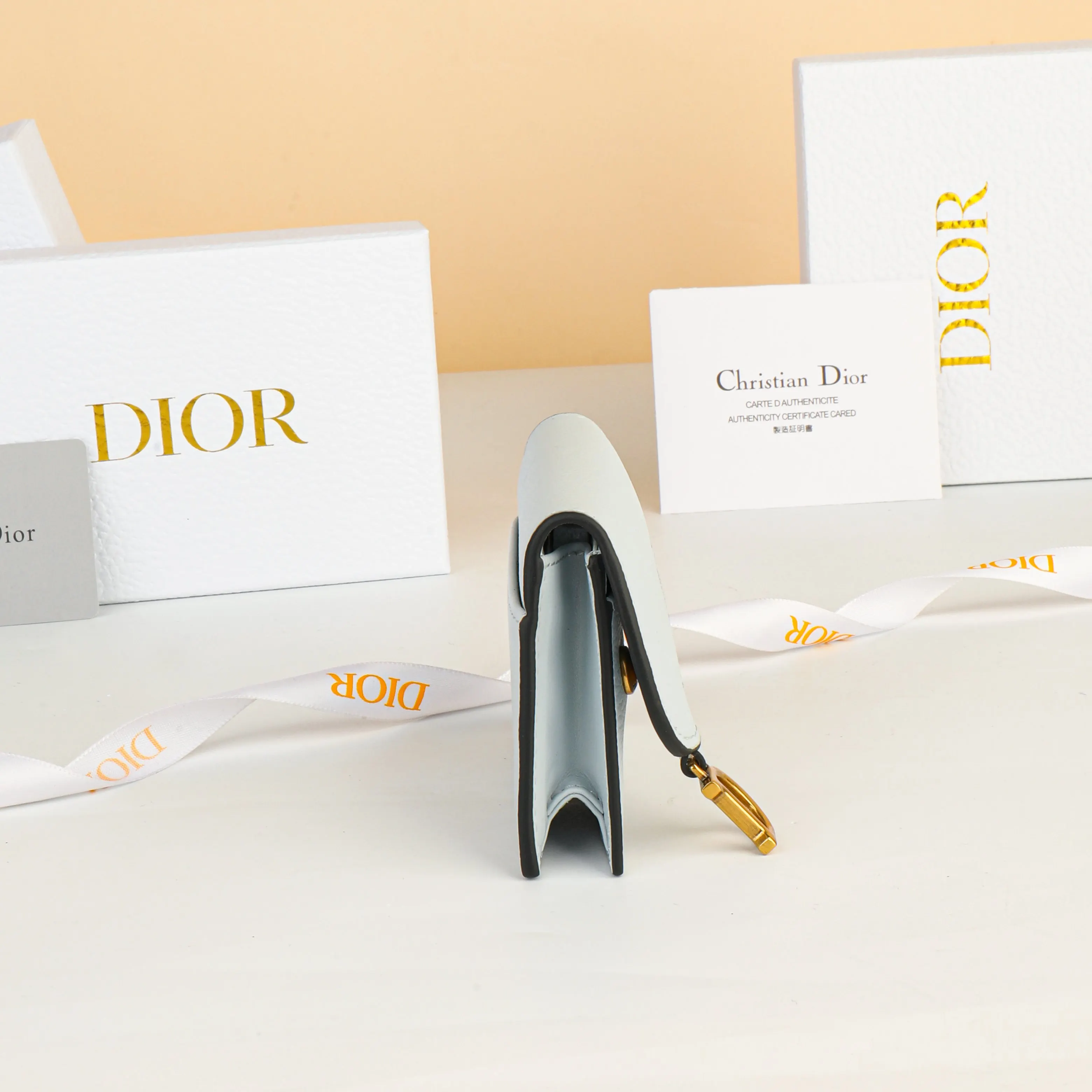 Dior Saddle 皮革 钱包