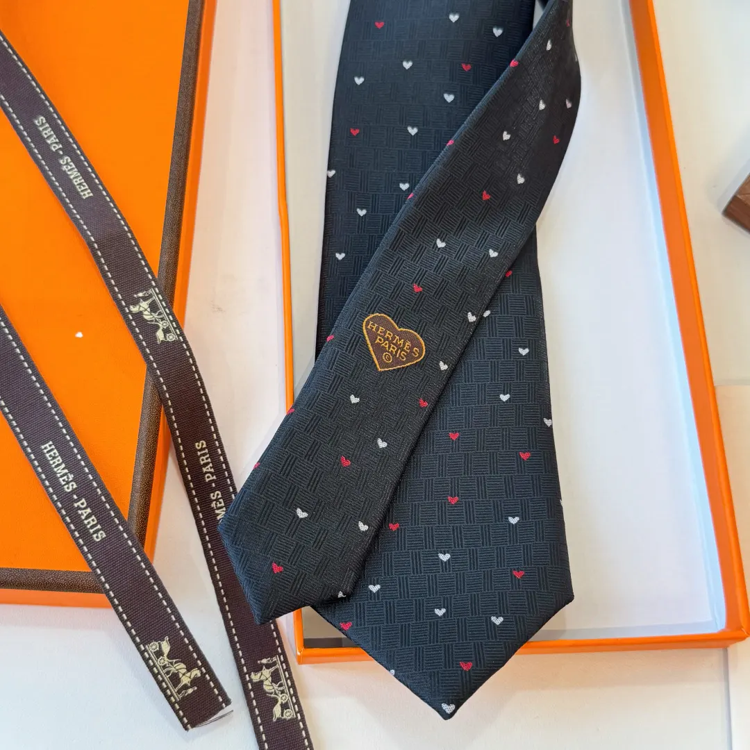 Hermès 领带 精致配饰