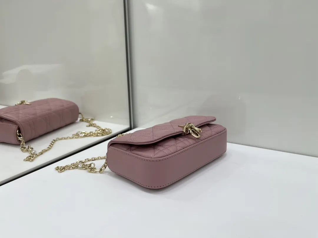 Dior Chain Bag