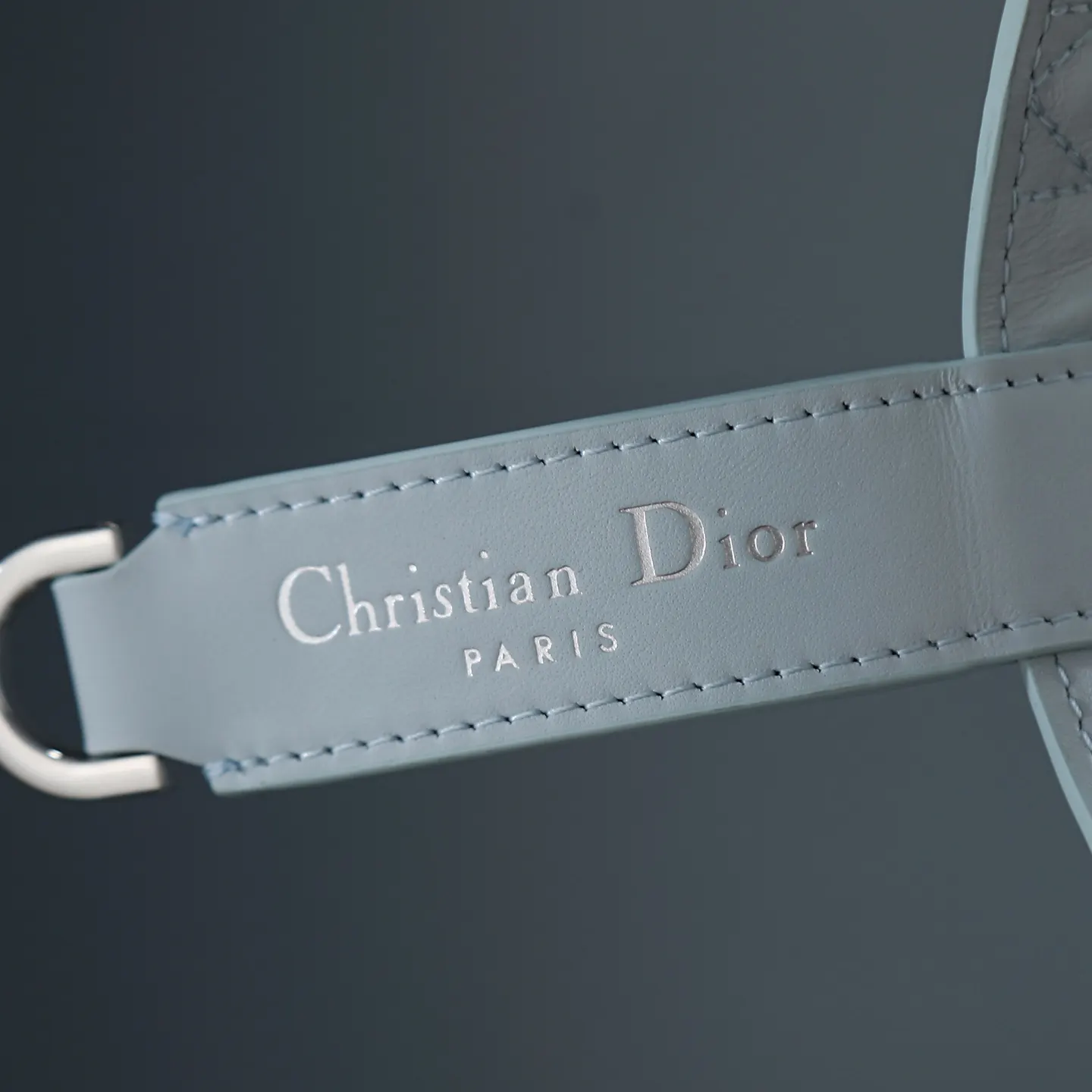 Dior Toujours 皮革 托特包
