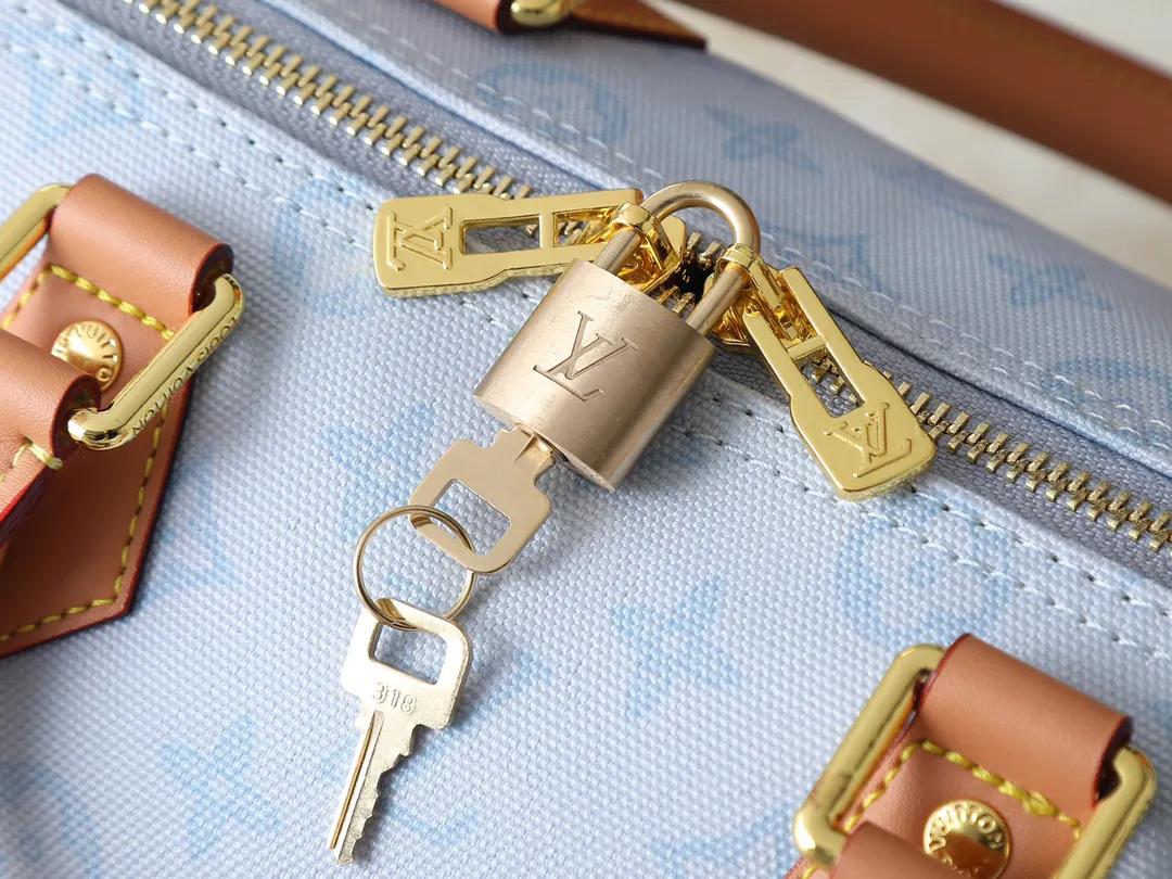 Louis Vuitton Organizer Pouch Travel Leather
