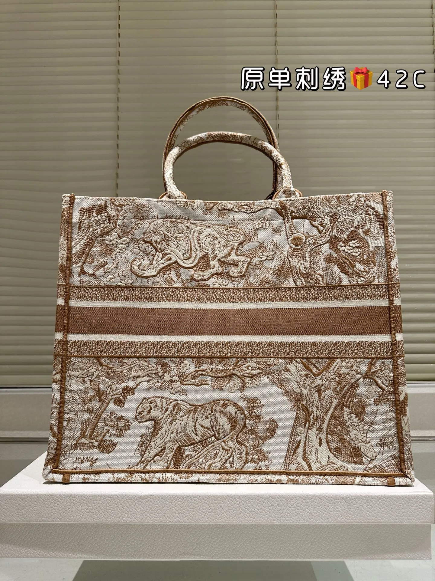 Dior Monogram Tote Bag