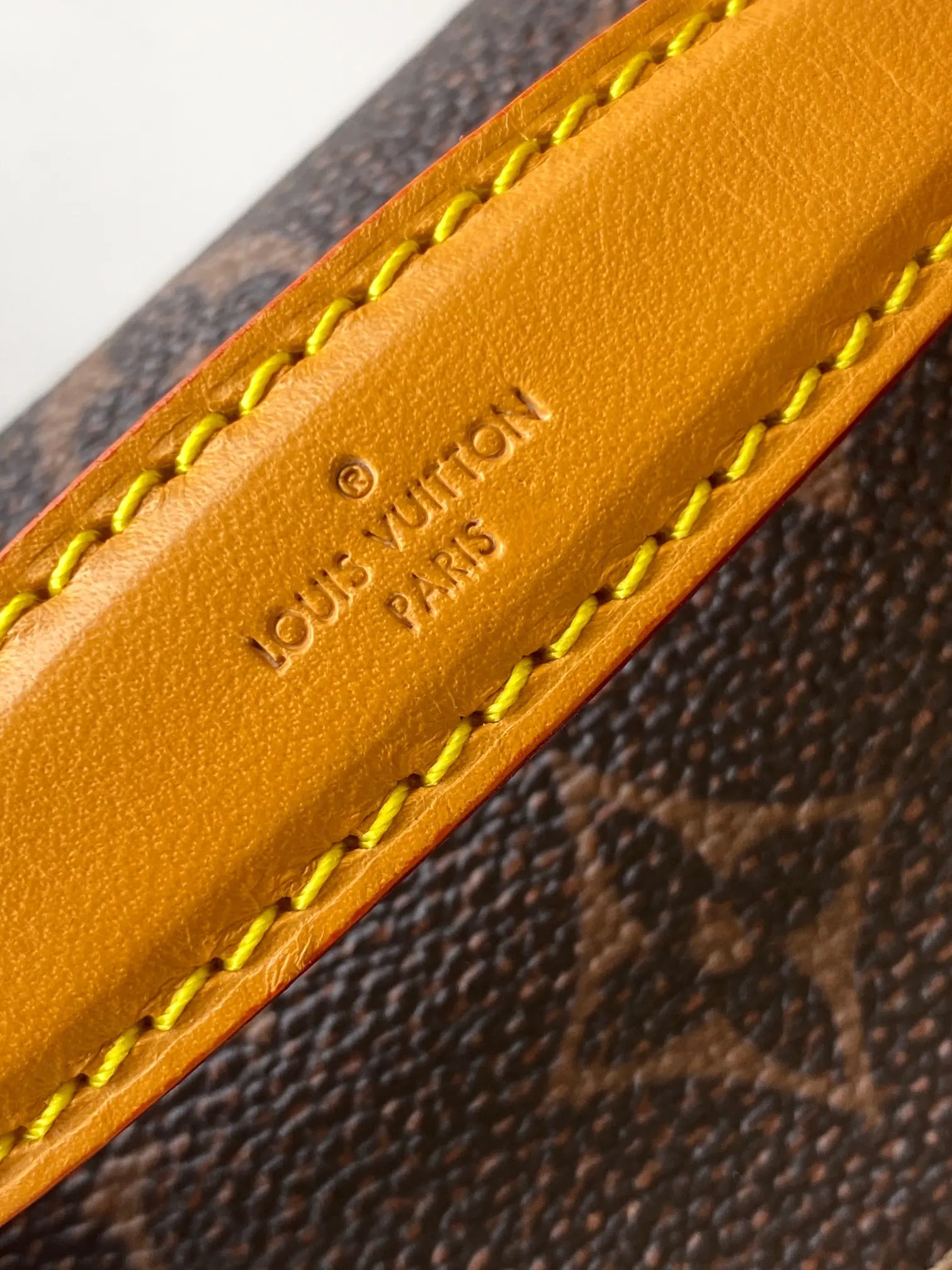 Louis Vuitton Belt Bag Casual Leather