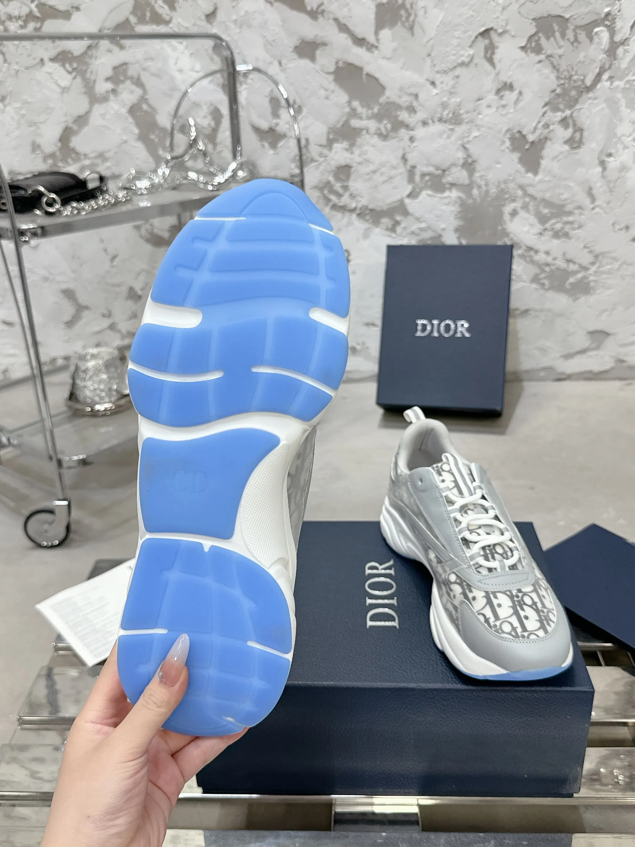 Dior B22 运动鞋