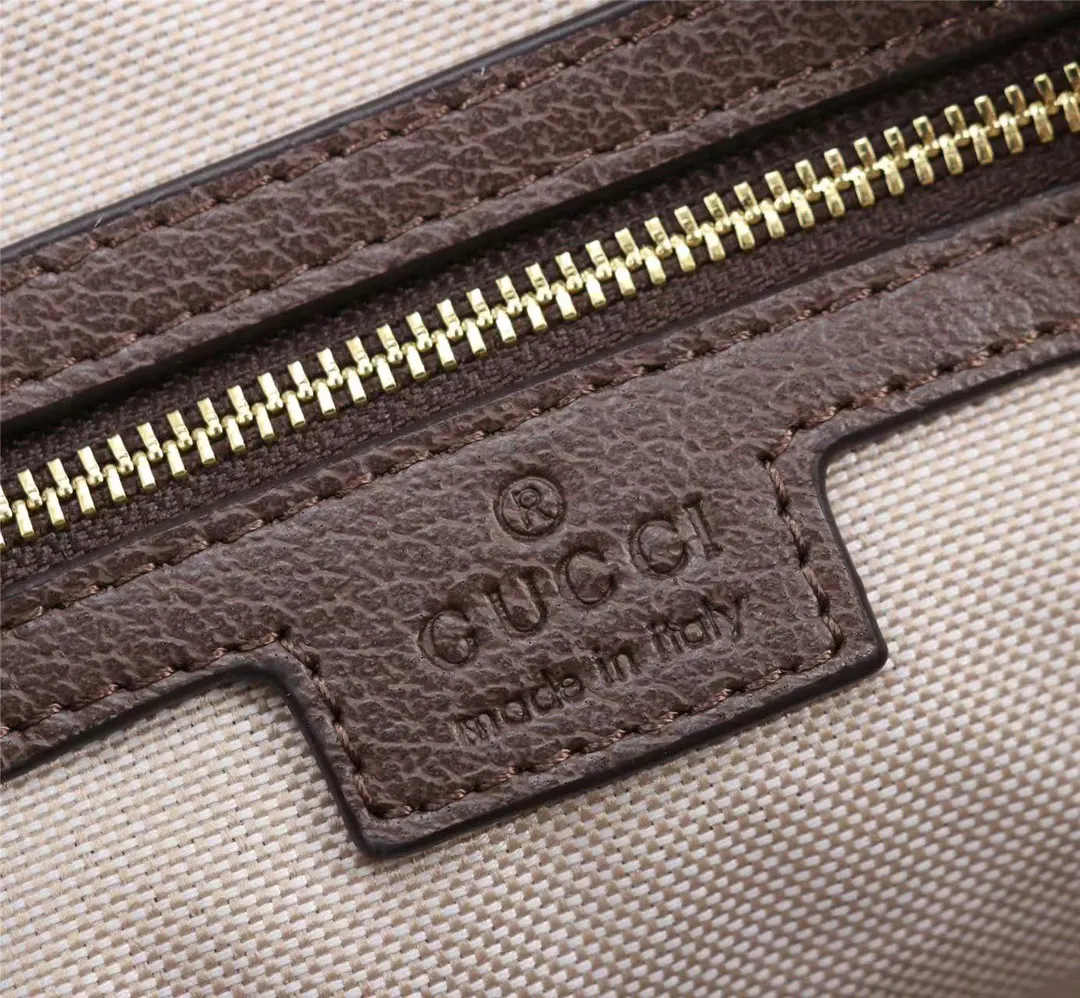 Gucci Ophidia GG Supreme Brown Chain Bag