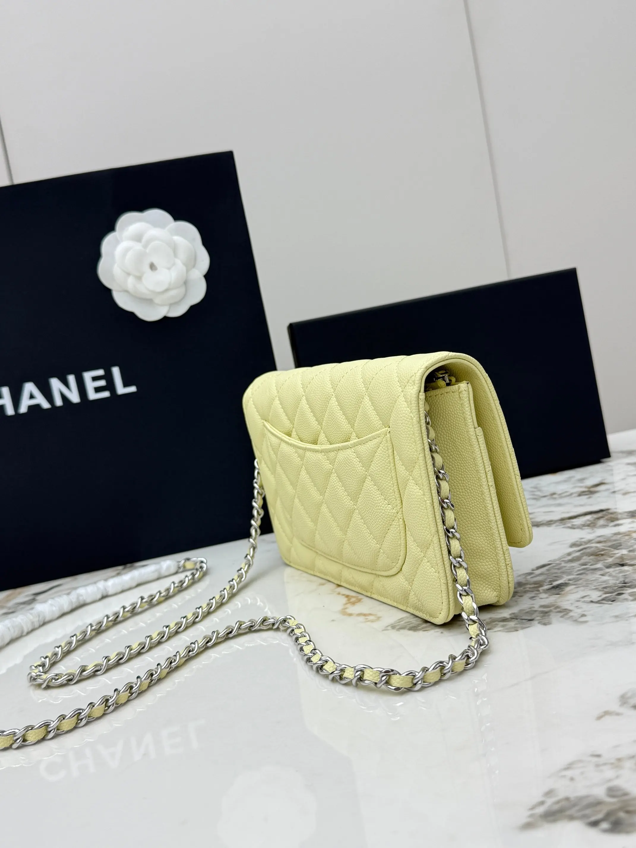 Chanel Chain Bag Leather