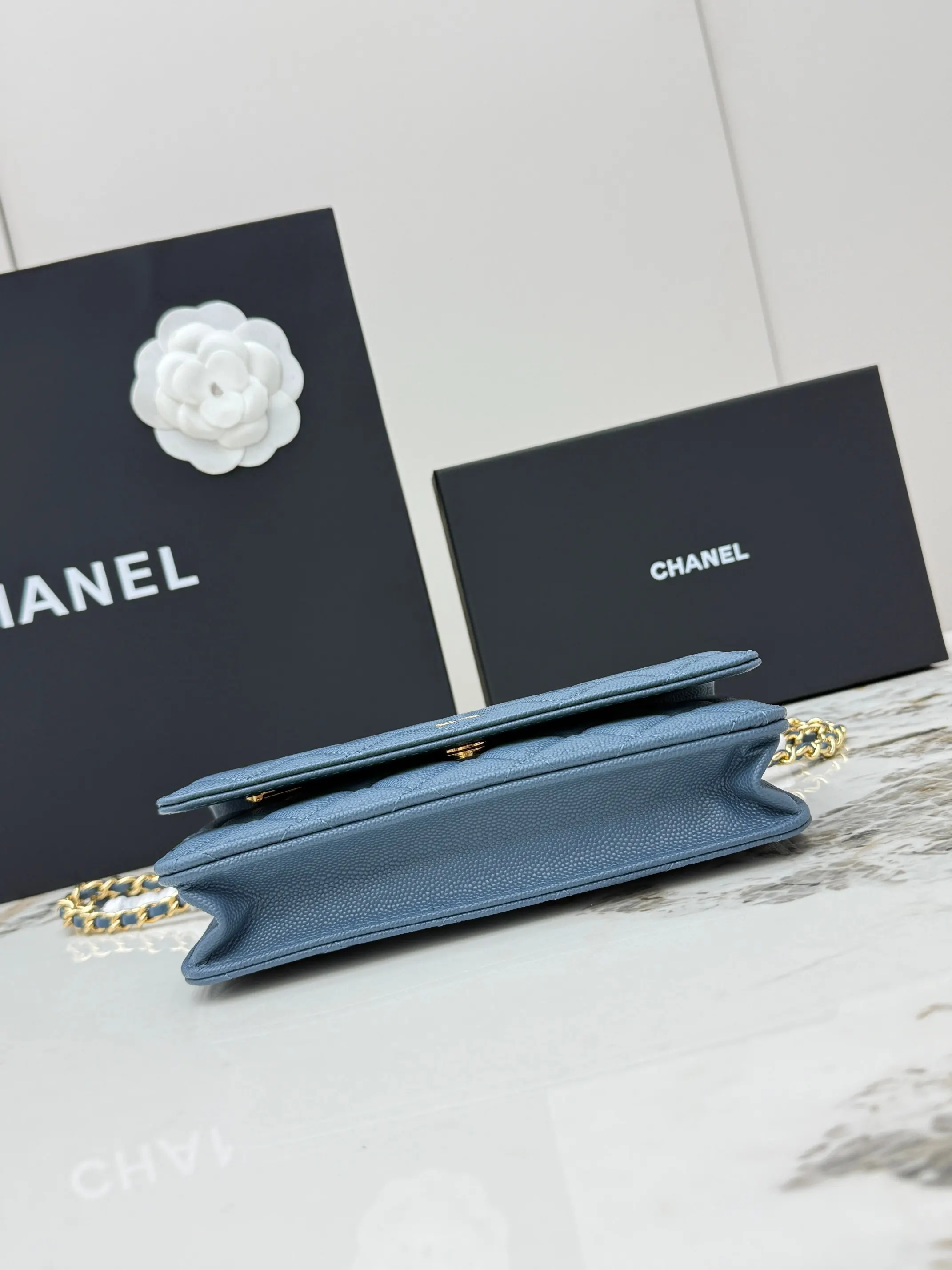 Chanel Chain Bag Leather