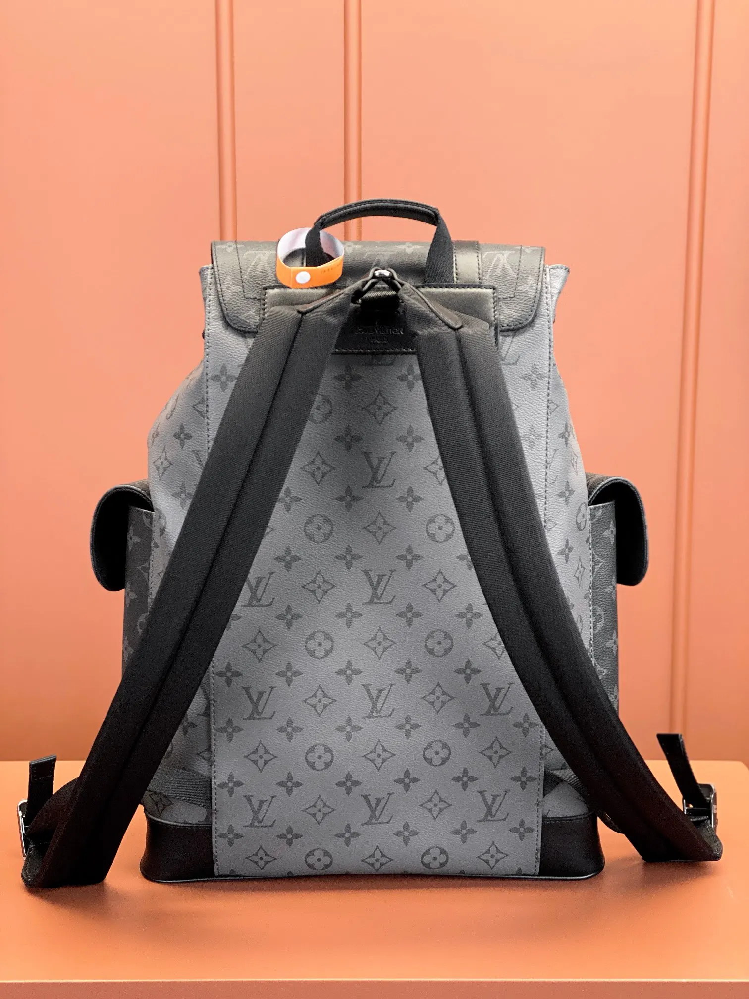 Christopher 中号雙肩包 实用雙肩款