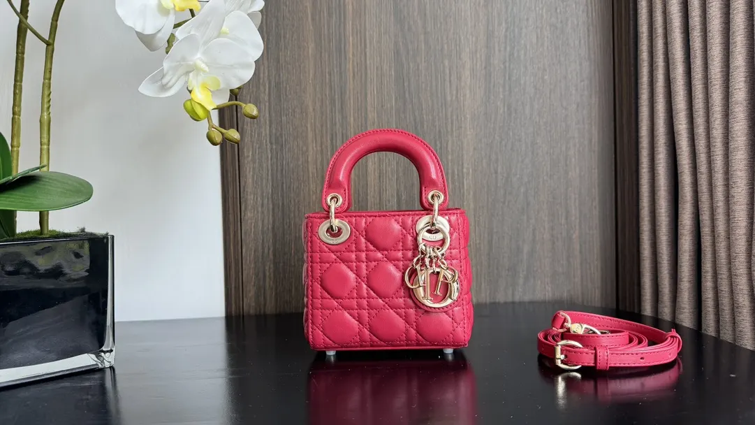 Dior Red Top Handle Bag Commuter