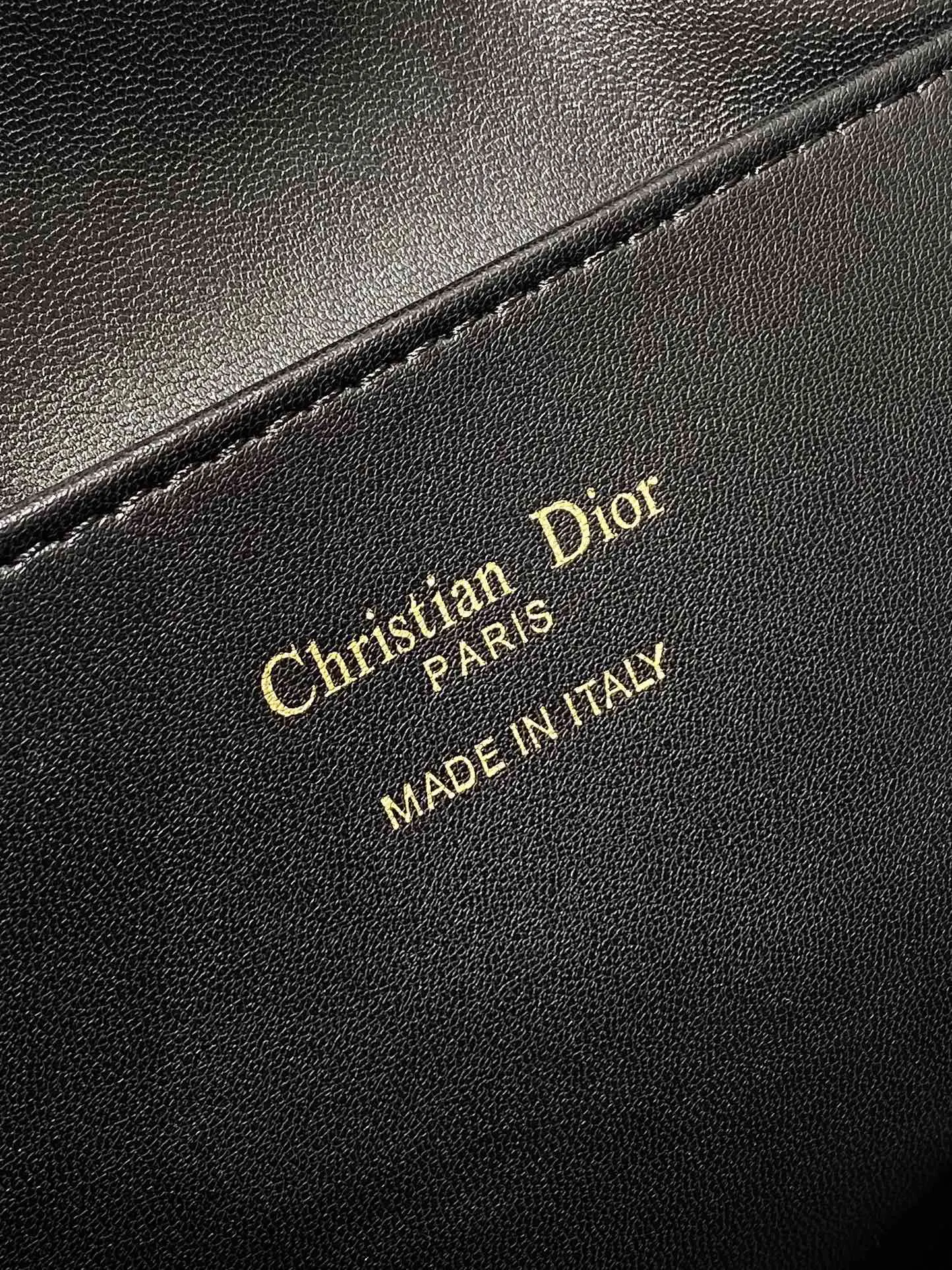 Dior Gold Backpack