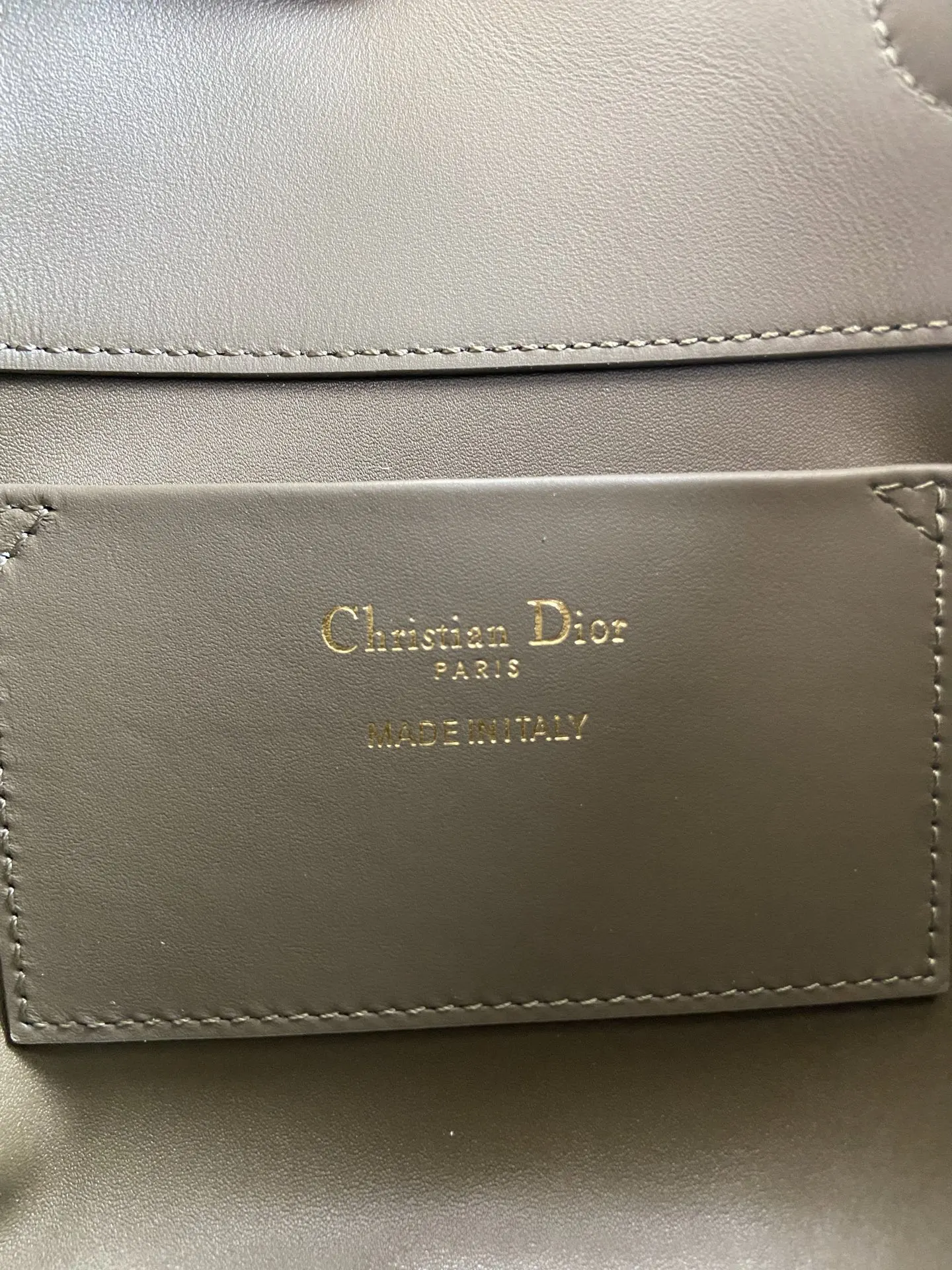 Dior Toujours 绿色 皮革 手提包