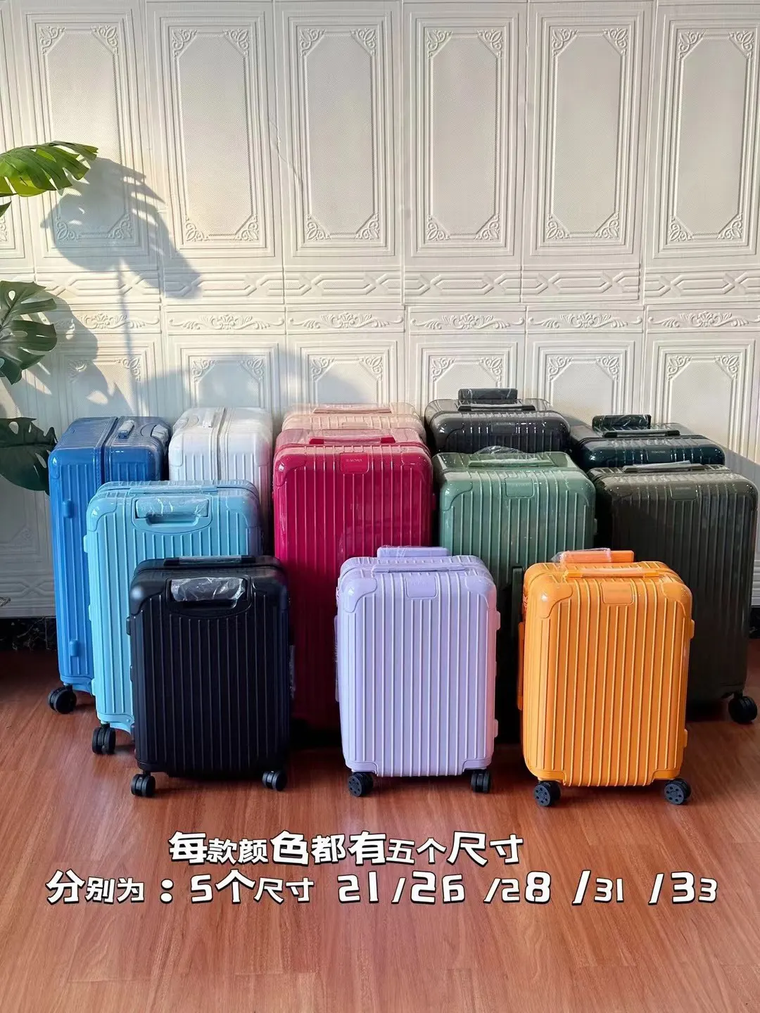 黑色 白色 Essential 系列 原Salsa的 行李箱 旅行拉杆款 輕便出行款
