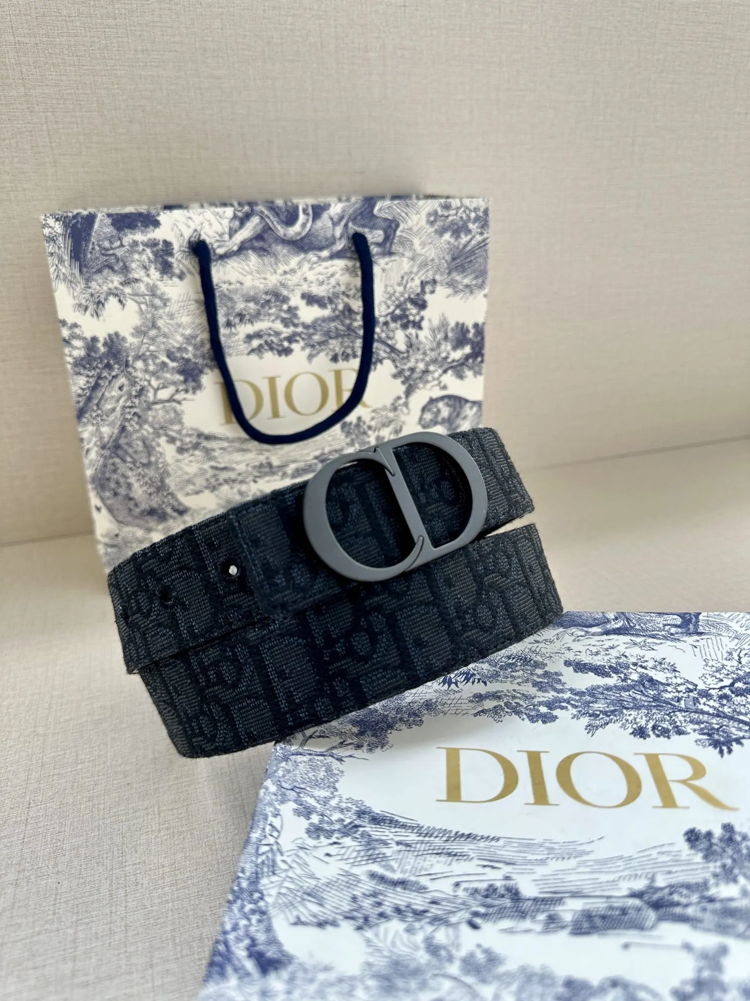 Dior 黑色Oblique腰带 黑扣款