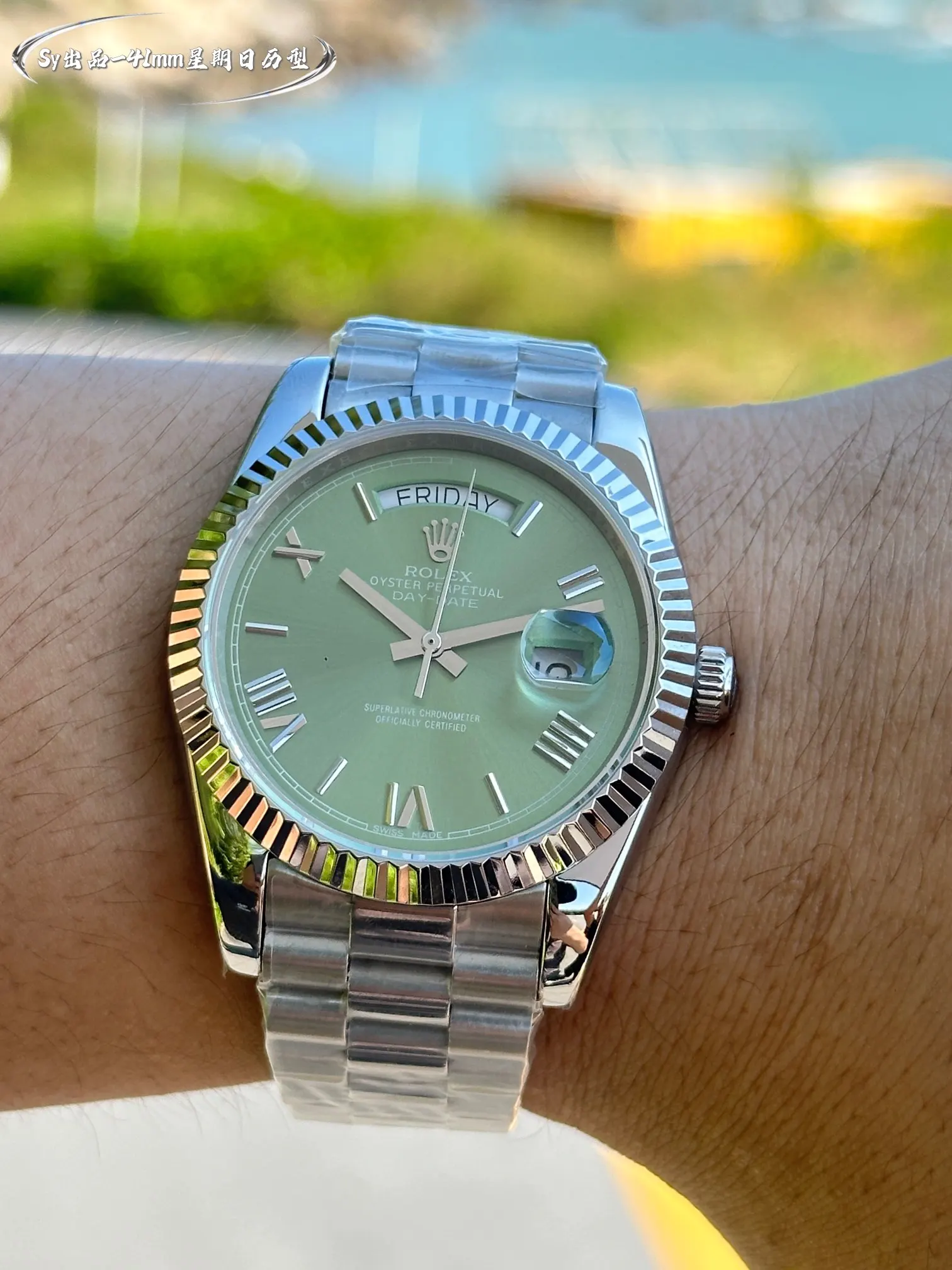 Rolex 蚝式表壳结构 一体中层表壳 旋入式底盖及上链表冠 手錶 經典腕表款