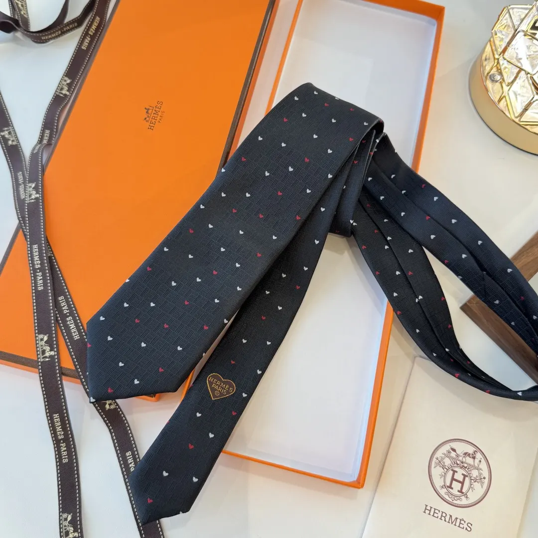 Hermès 领带 精致配饰