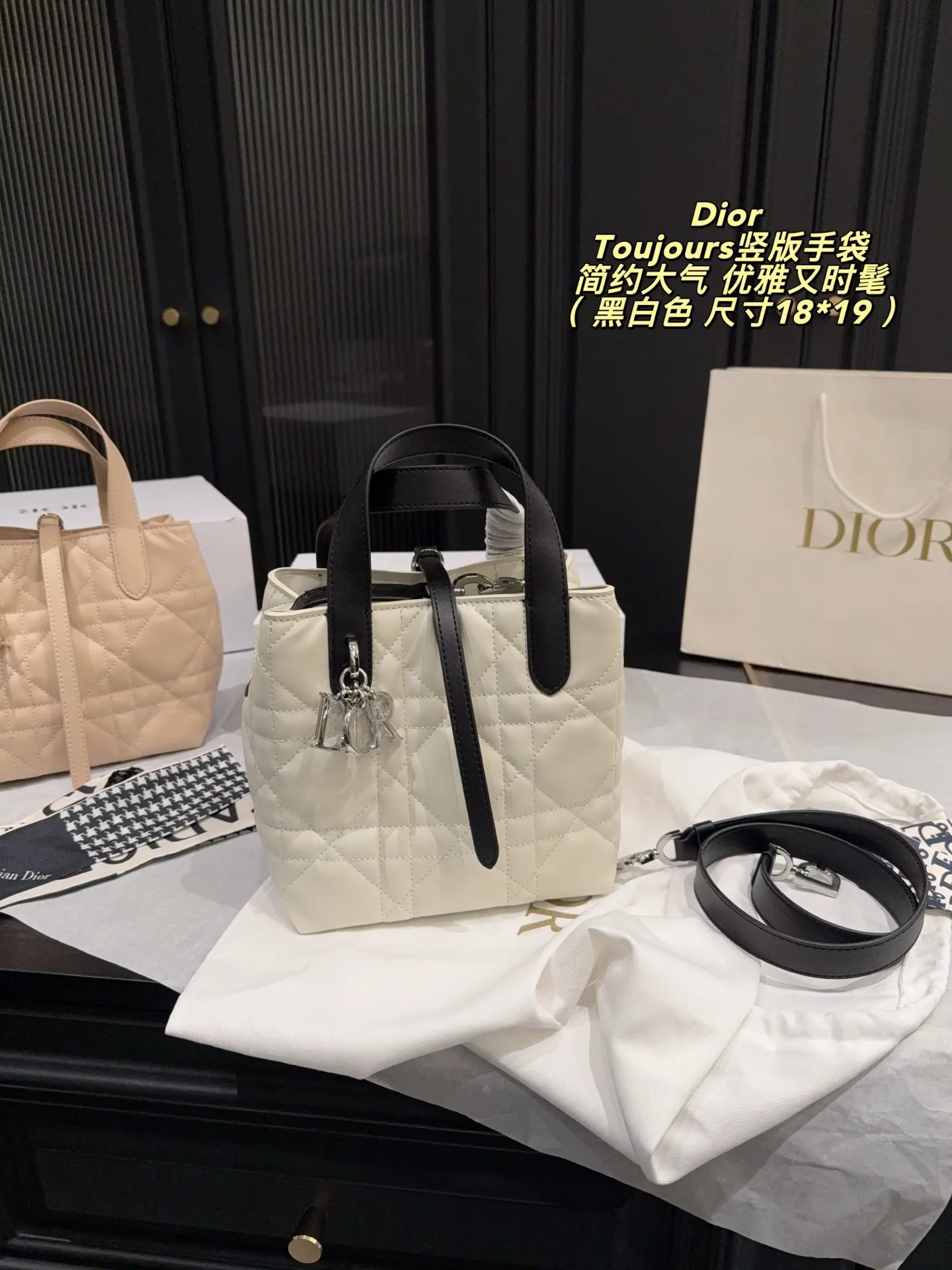 Dior Organizer Pouch Travel