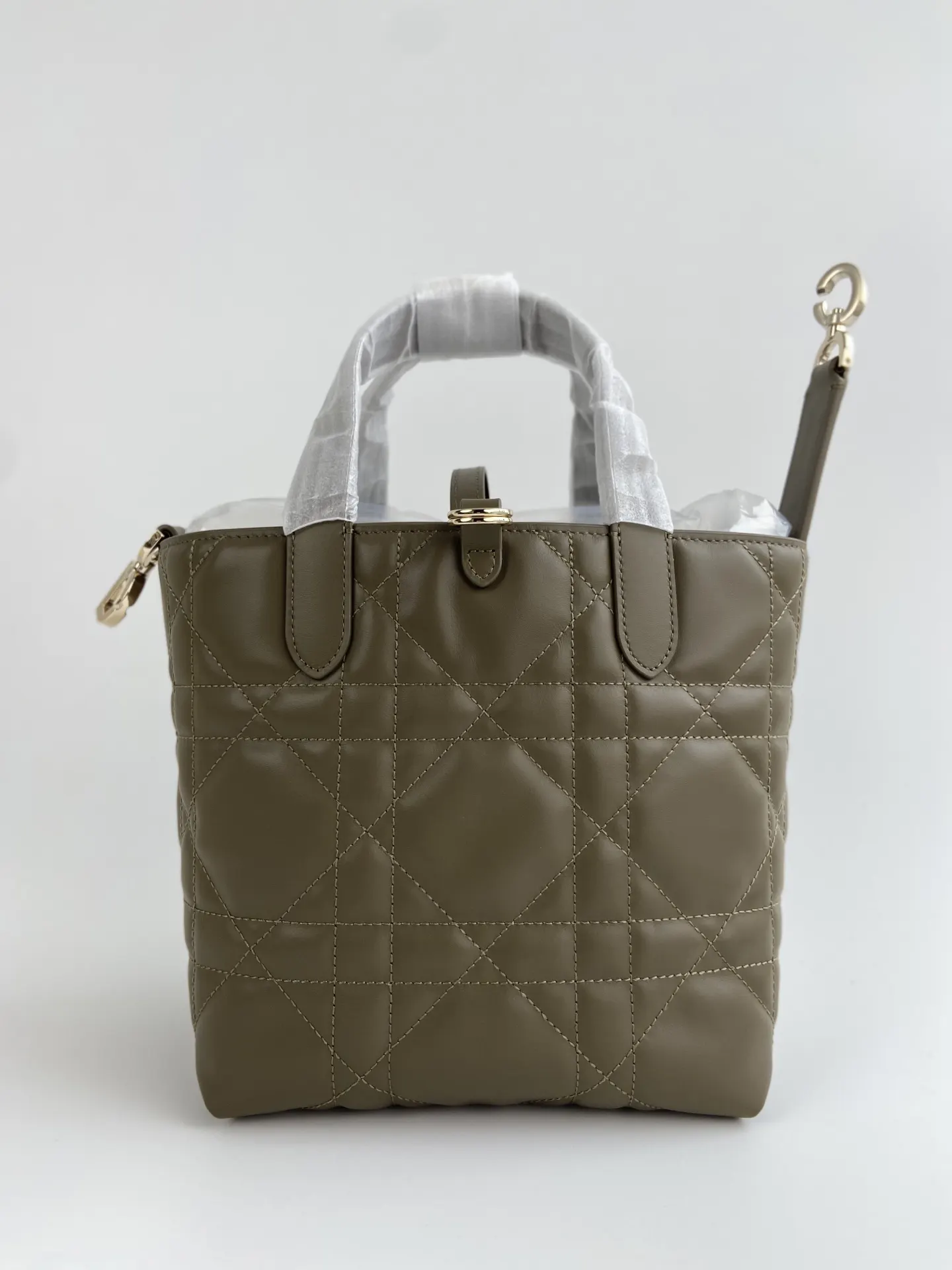 Dior Toujours 绿色 皮革 手提包