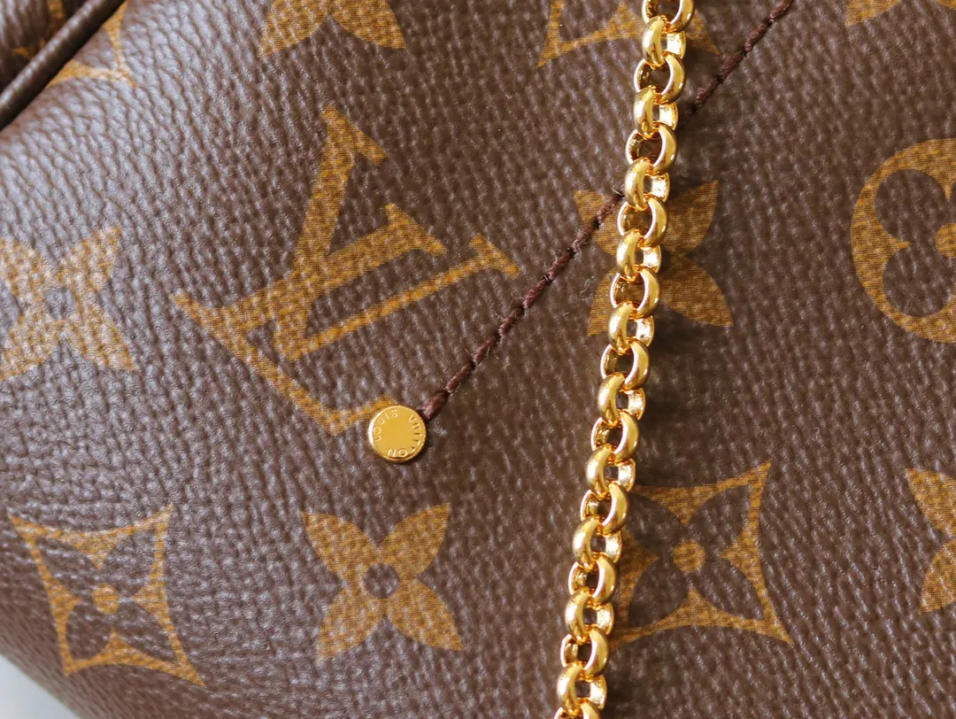 Monogram Chain Bag Canvas