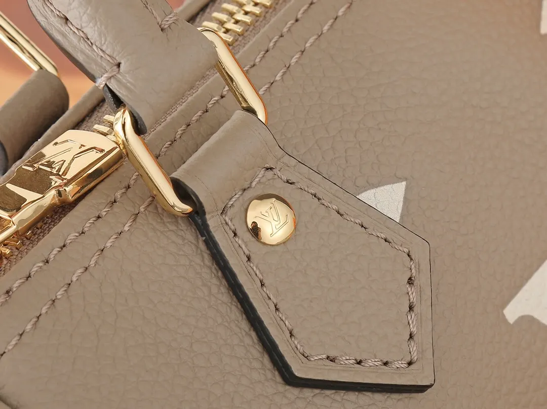 LV Speedy Mo收纳包 旅行收纳款
