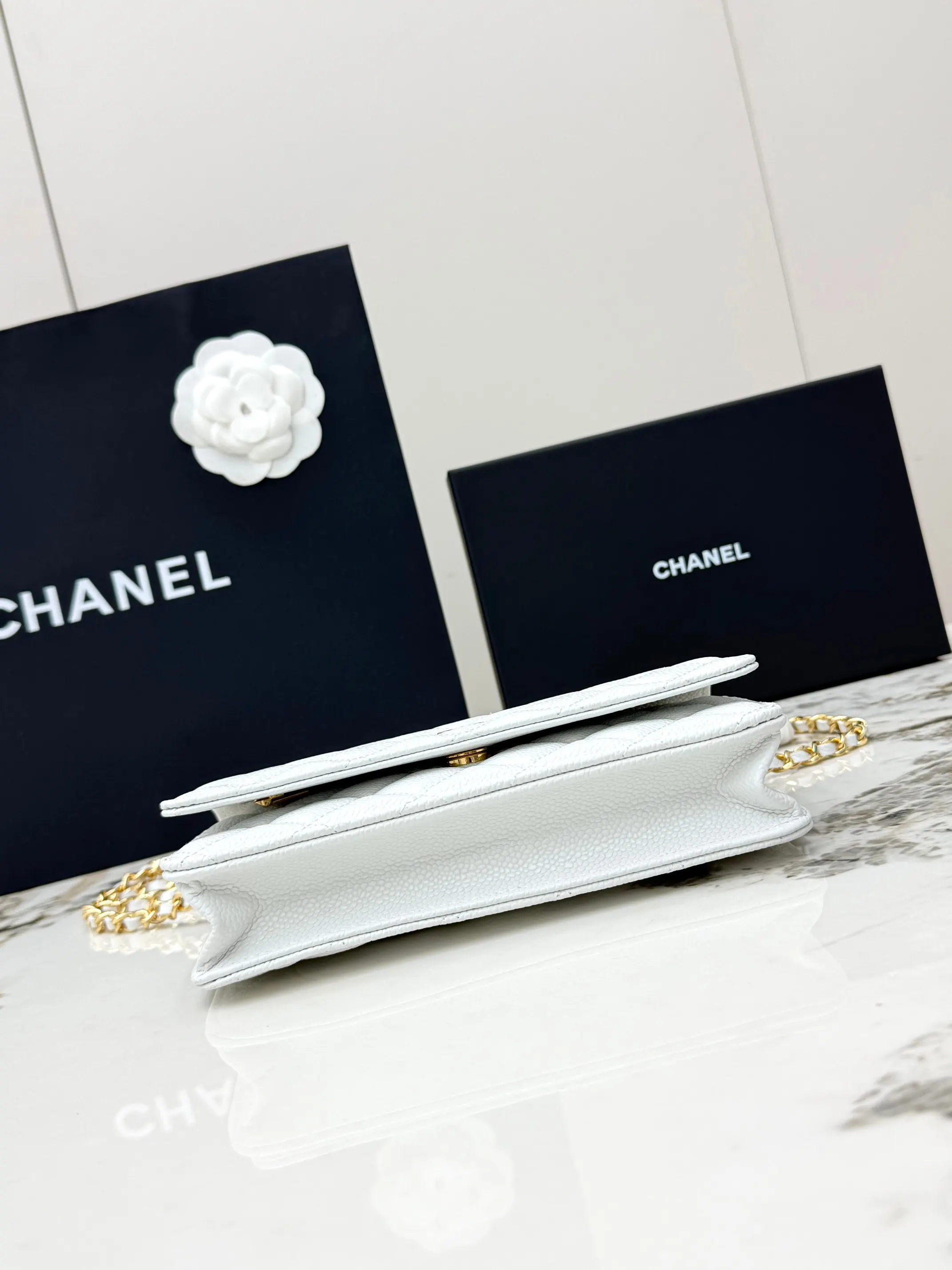 Chanel Chain Bag Leather