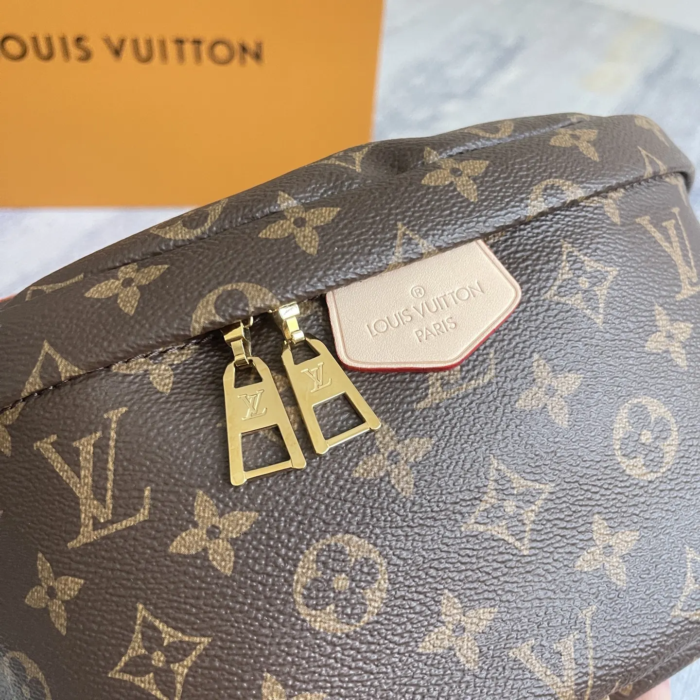 Louis Vuitton Gold Belt Bag Casual Leather