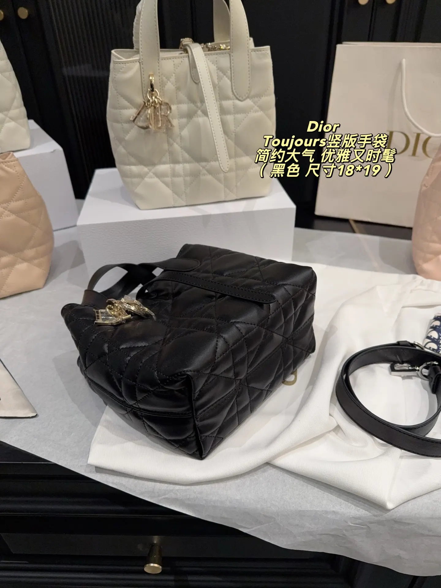 Dior Organizer Pouch Travel