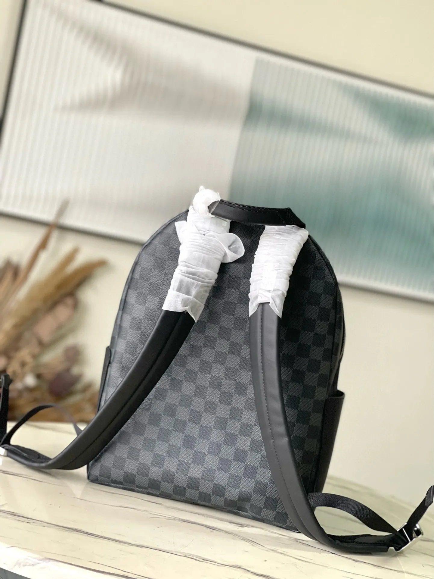 Backpack Canvas