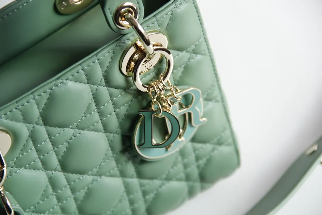 Dior Lady 收納包 旅行收納款
