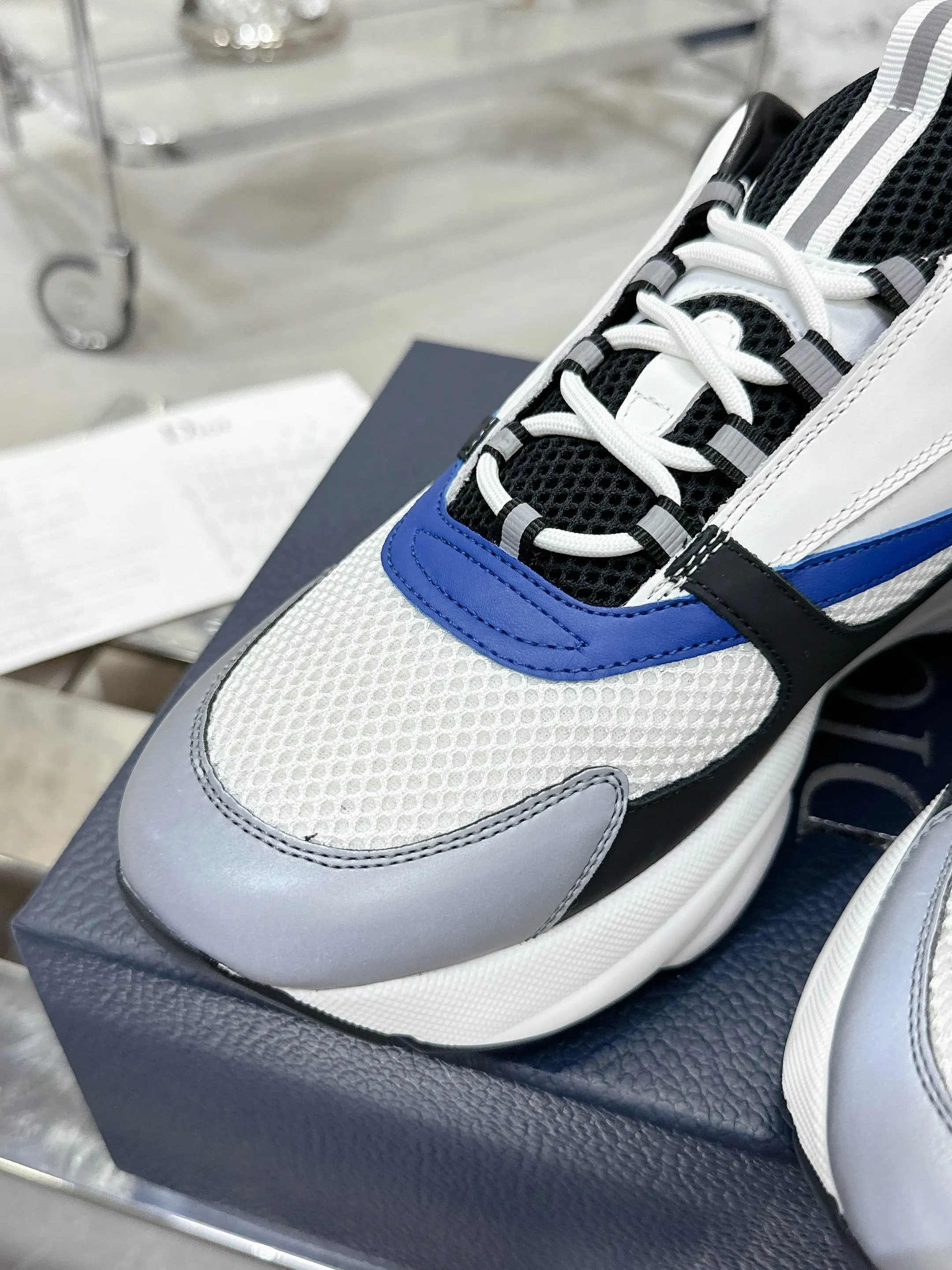 Dior B22 运动鞋