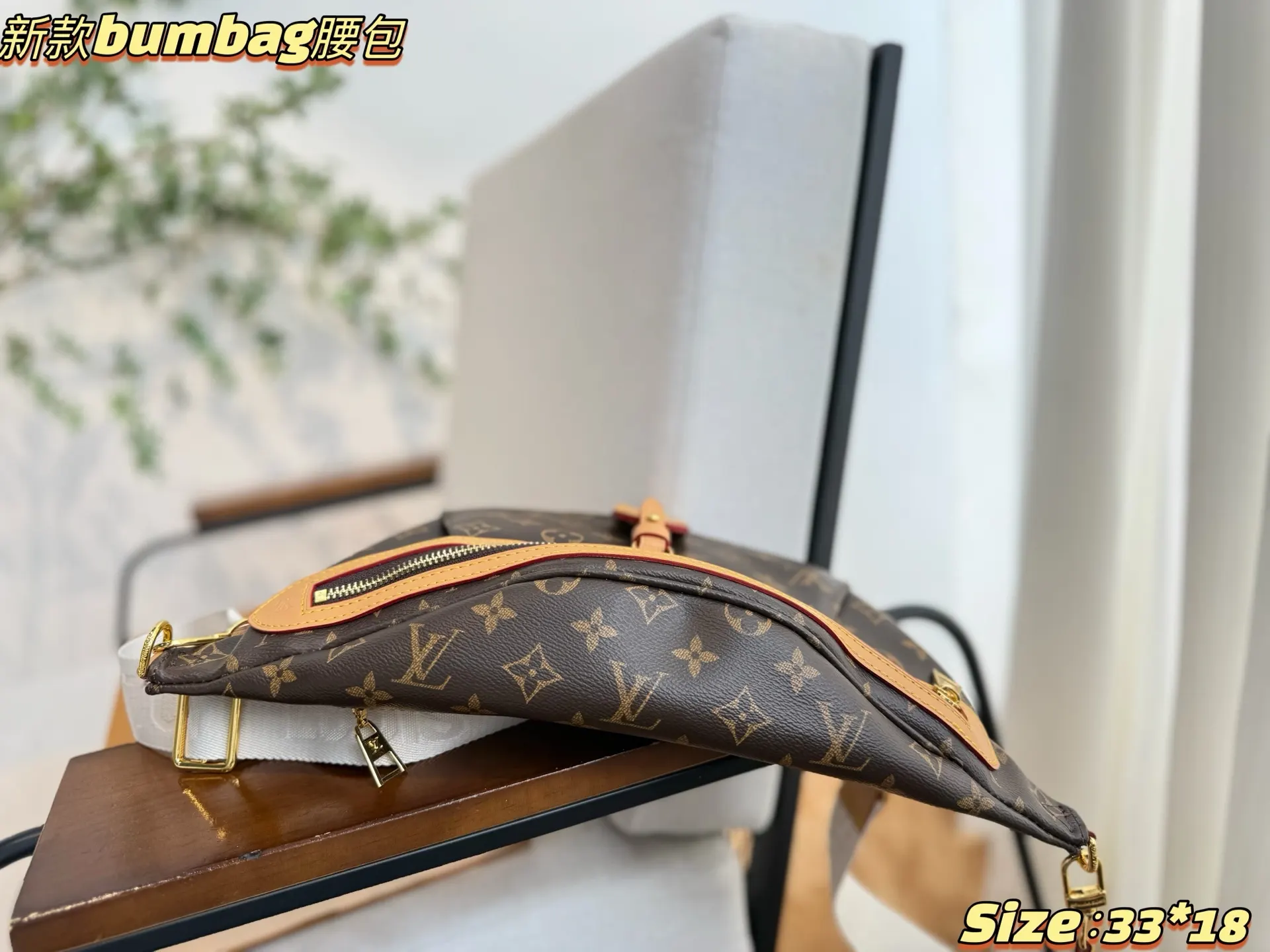 Louis Vuitton Belt Bag Casual