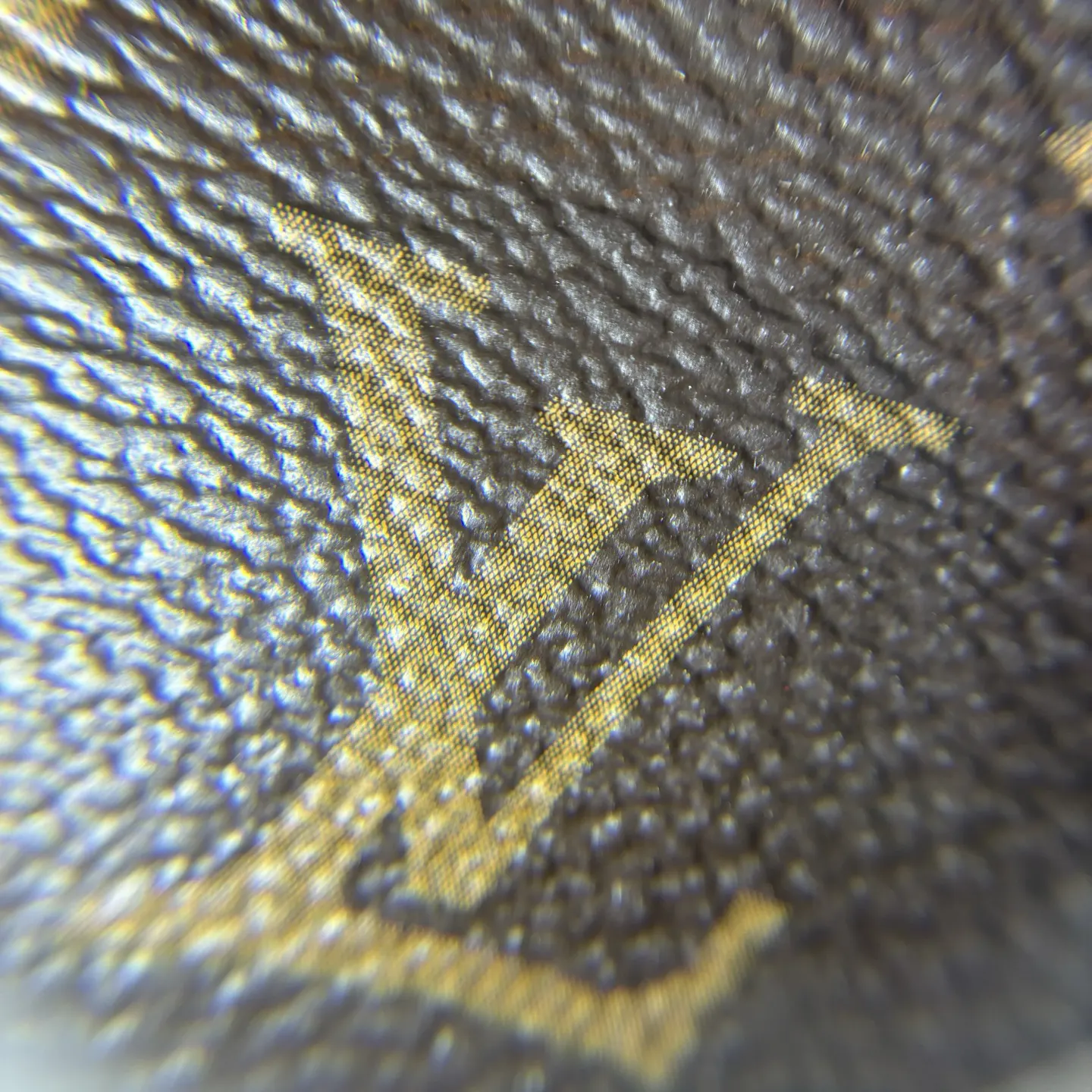 LV Speedy 牛皮 旅行包 大容量旅行款