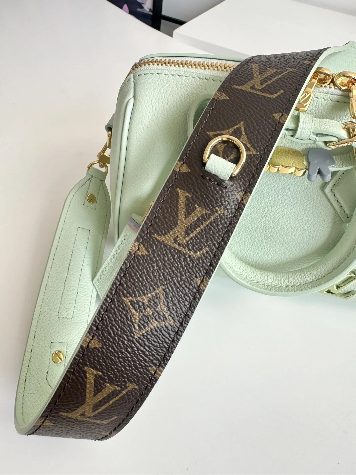 LV Speedy 链条包 精致链条款