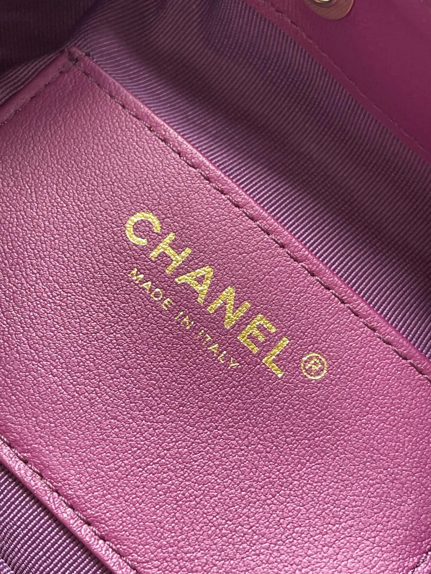 Chanel 紫色牛皮Hobo腋下包 单肩