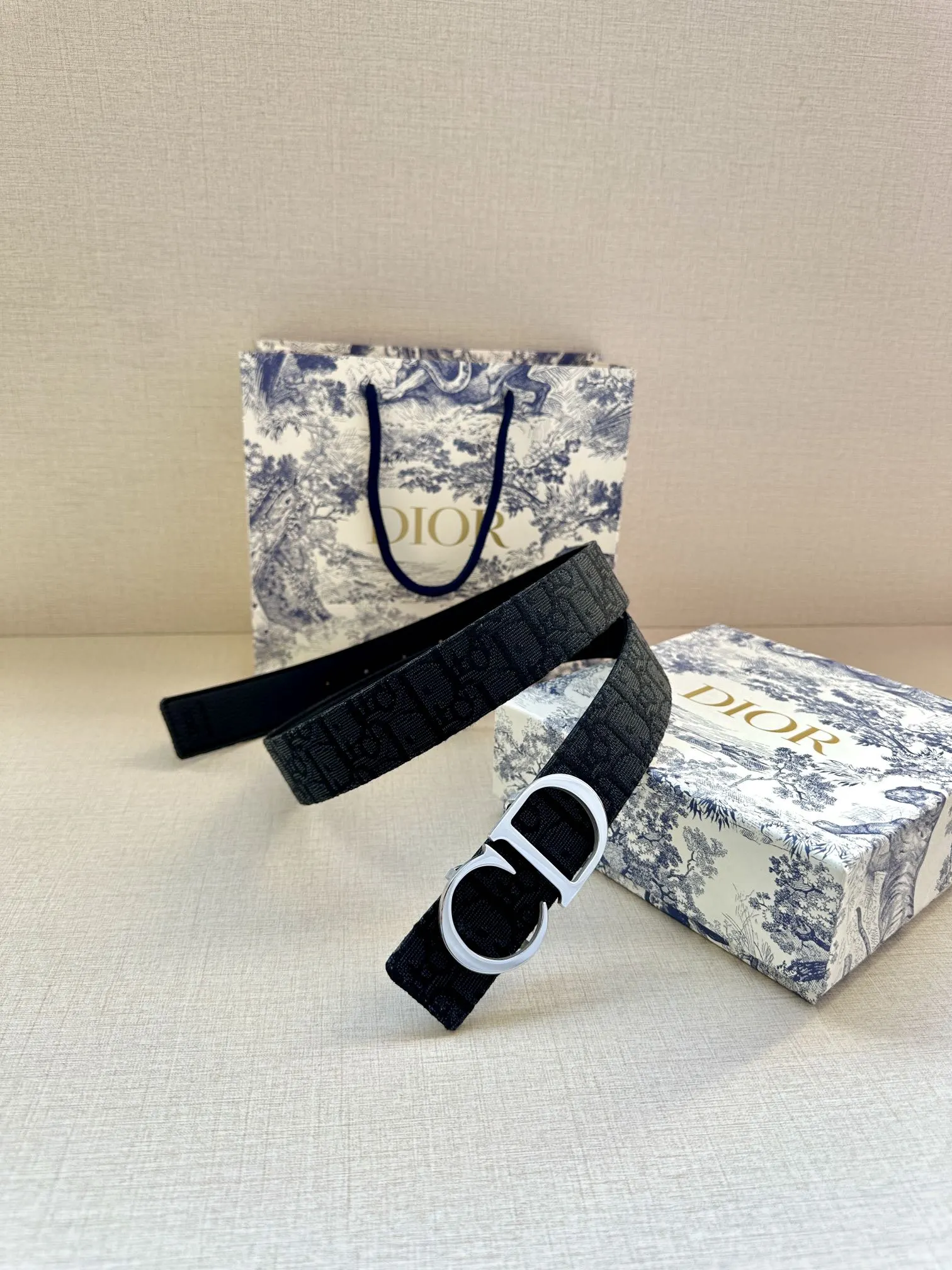 Dior 黑色Oblique腰带 CD金扣款