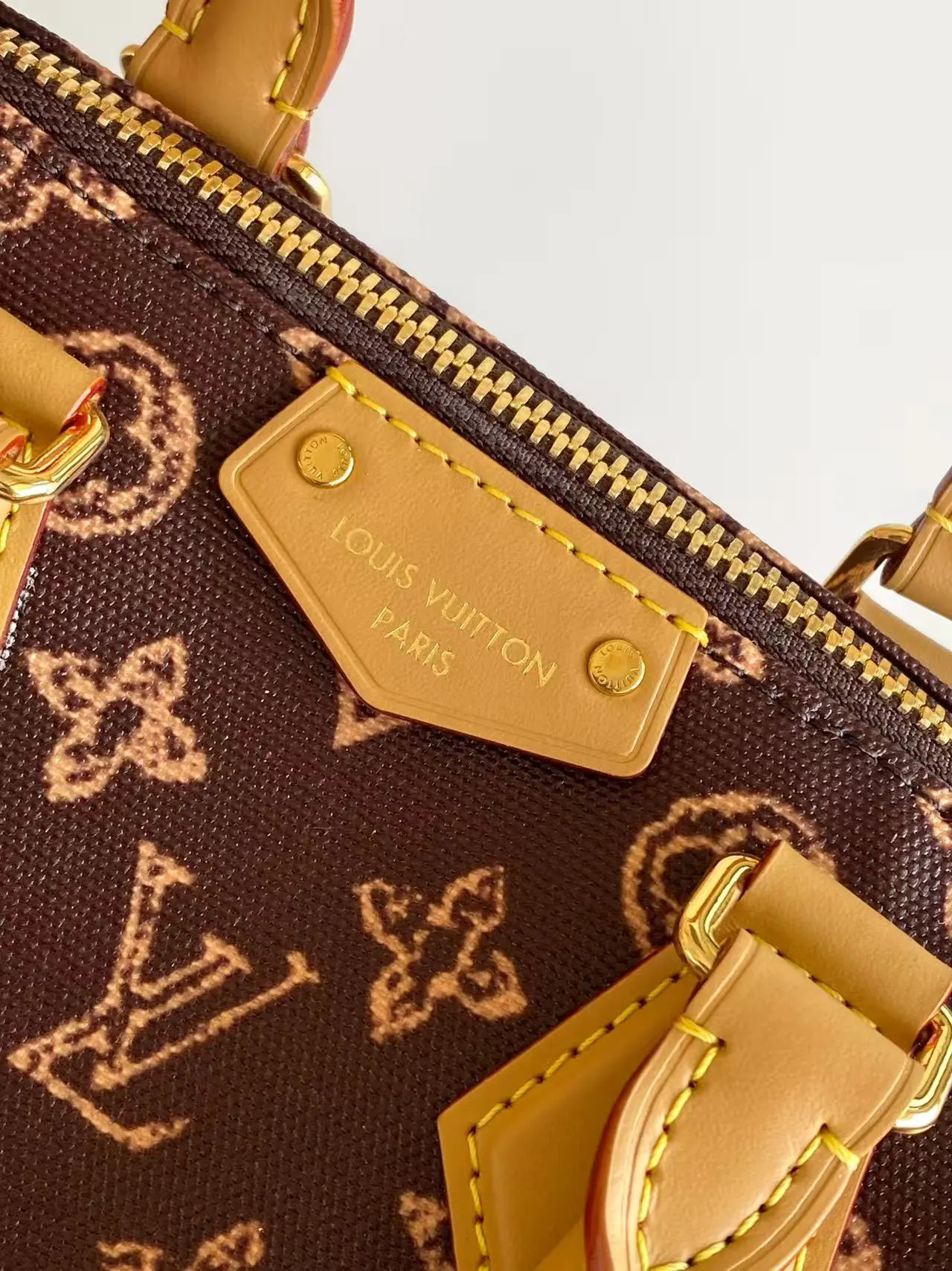 Louis Vuitton Chain Bag Leather