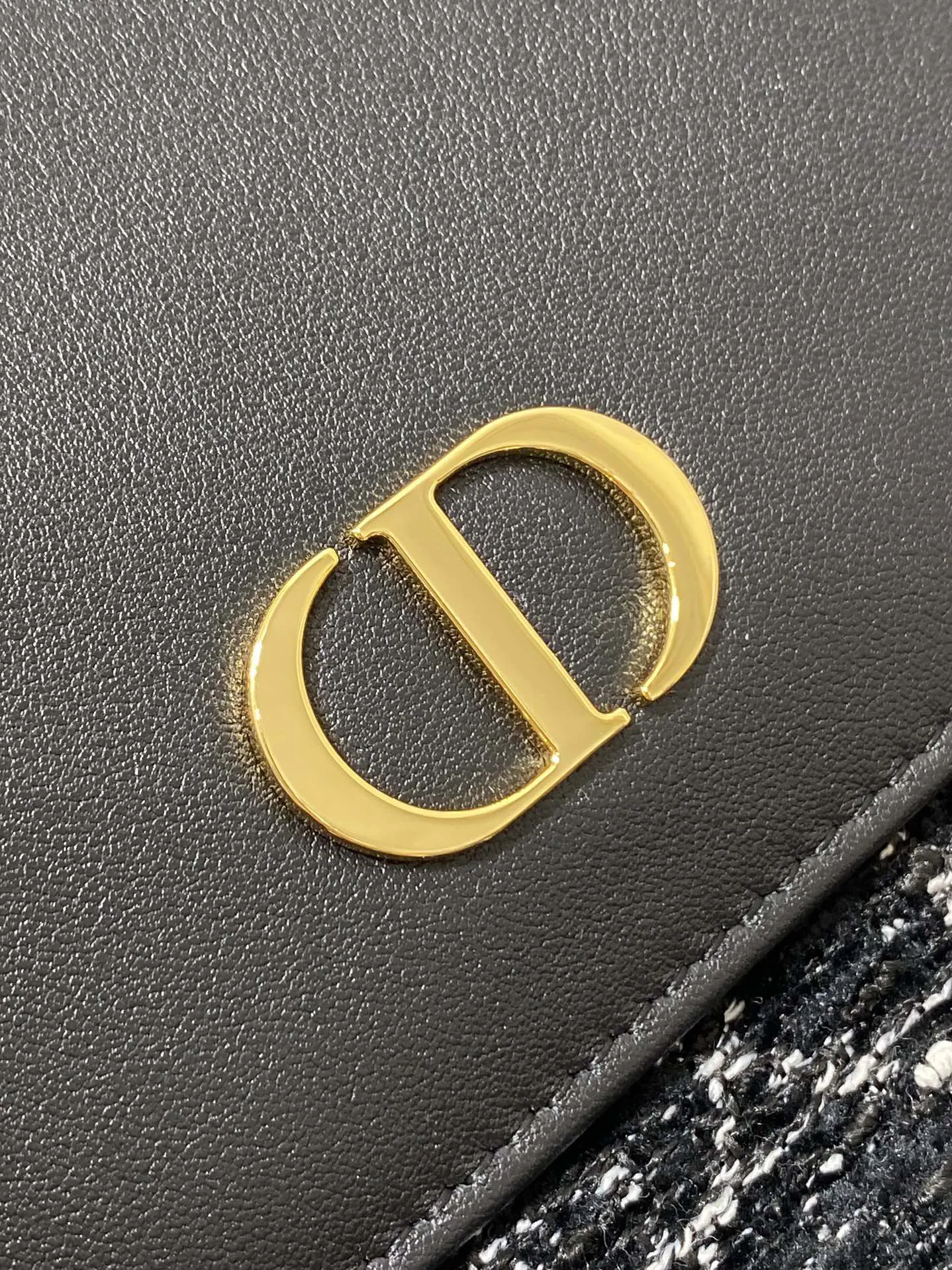 Dior Gold Backpack