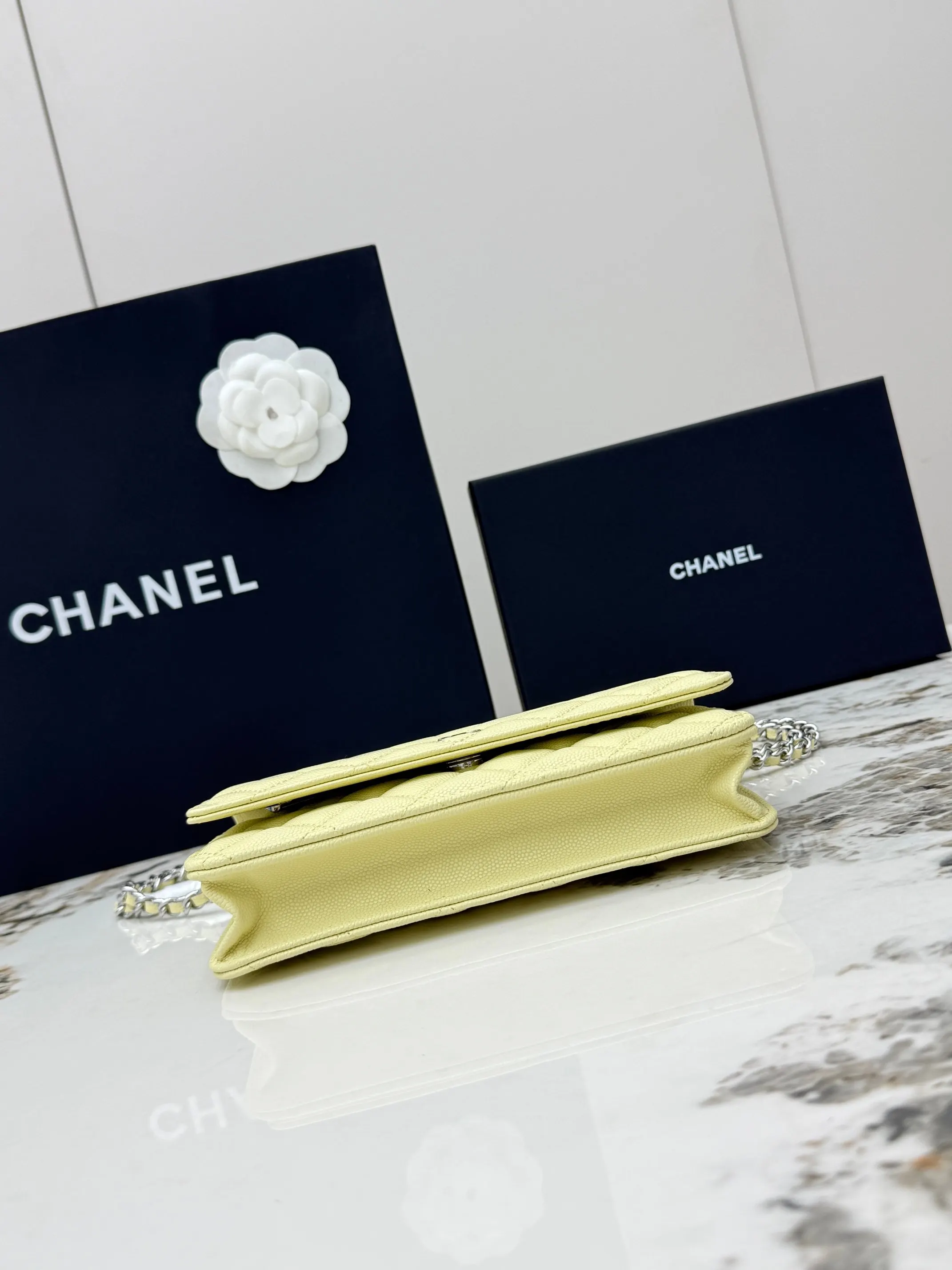 Chanel Chain Bag Leather
