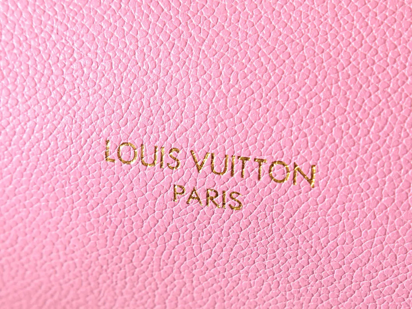 Louis Vuitton Fashion Item Travel Leather