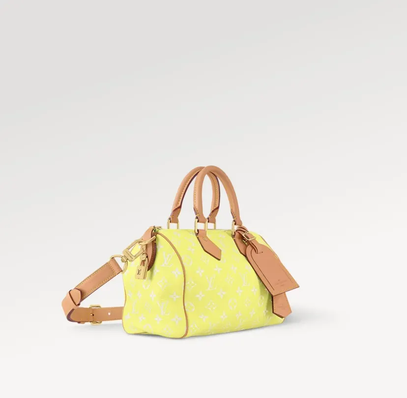 LV 黄色彩色老花Speedy手袋 小号款｜ORBUYBAG 岚奢包高端时尚精品