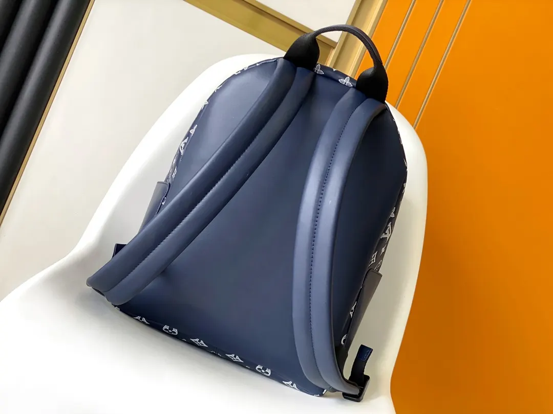 Louis Vuitton Backpack